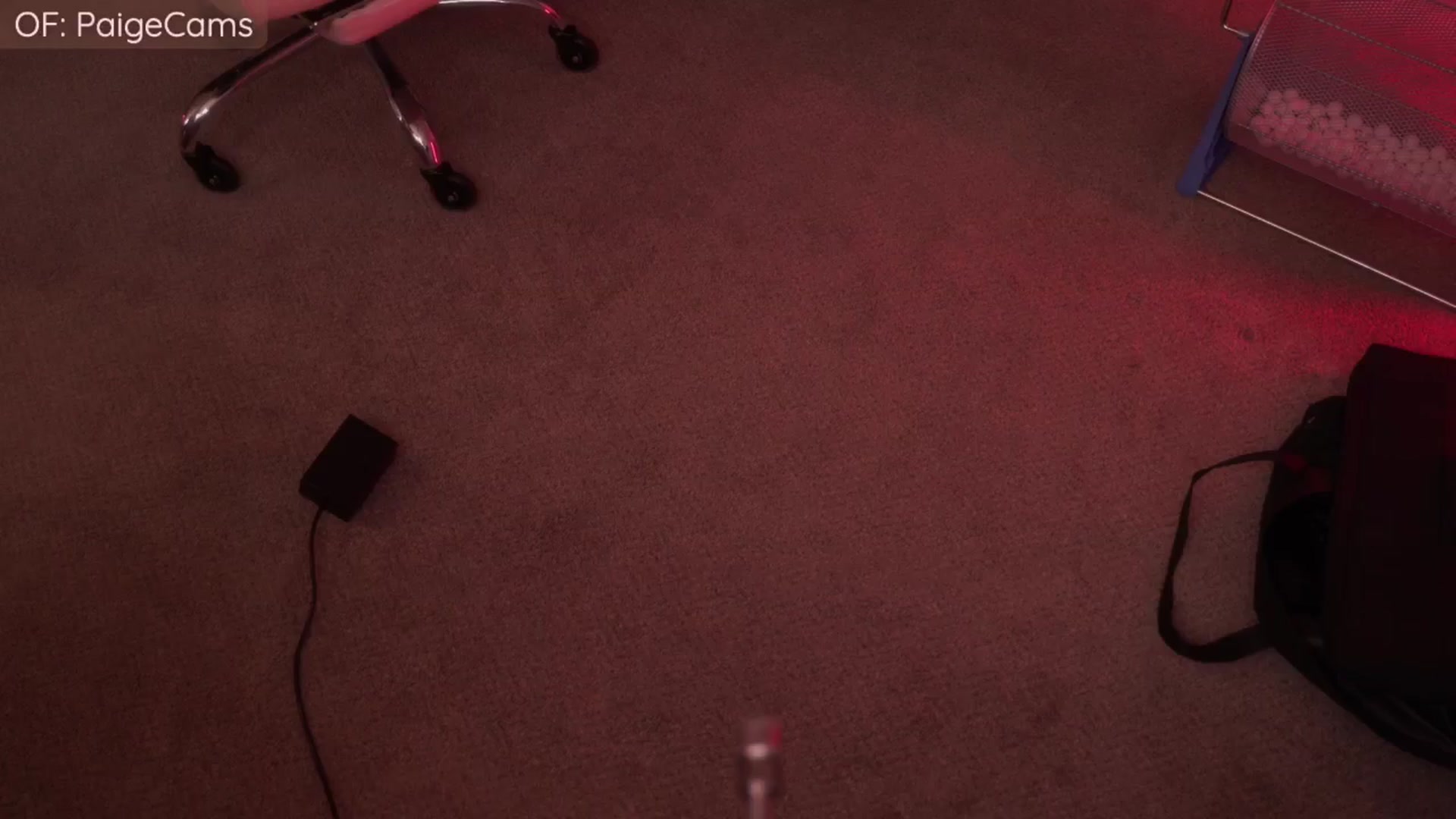 Gallery image thumbnail from Paige's myfreecams stream on, 01/31/2026, 05:43 image 15 of 20