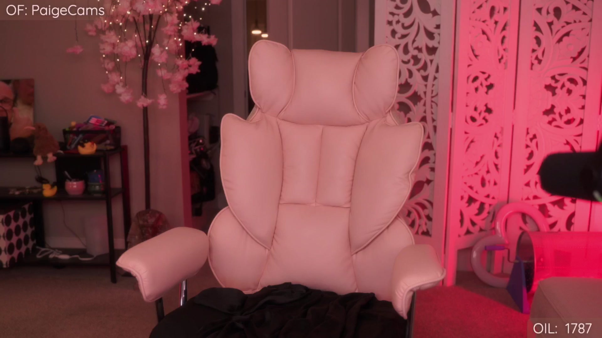Gallery image thumbnail from Paige's myfreecams stream on, 03/20/2026, 02:40 image 13 of 20
