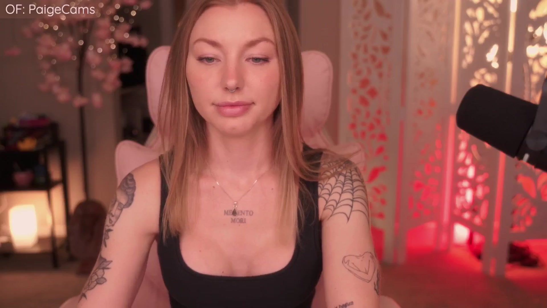 Gallery image thumbnail from Paige's myfreecams stream on, 04/14/2026, 01:58 image 19 of 20