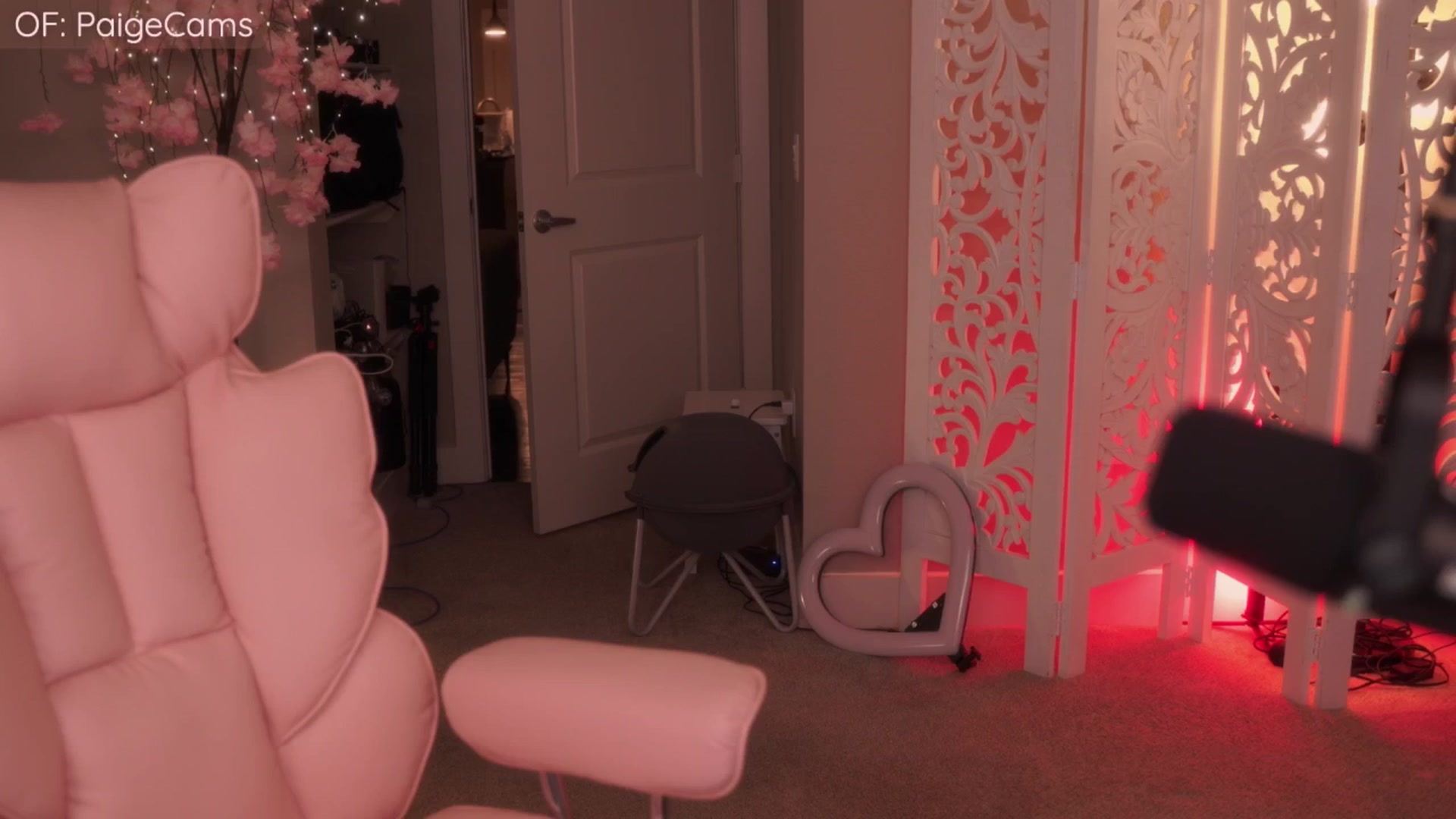 Gallery image thumbnail from Paige's myfreecams stream on, 04/15/2026, 02:24 image 11 of 20