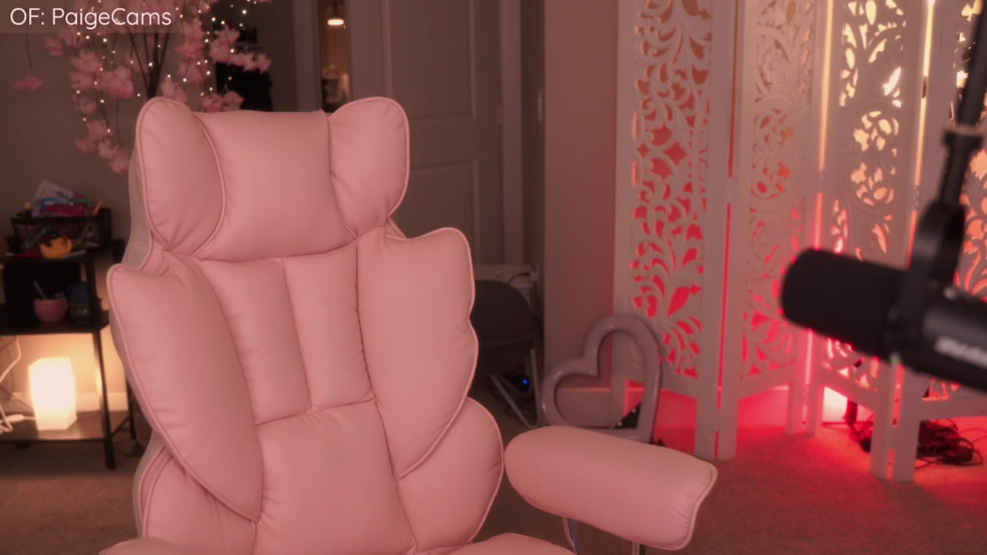 Gallery image thumbnail from Paige's myfreecams stream on, 04/15/2026, 02:24 image 6 of 20