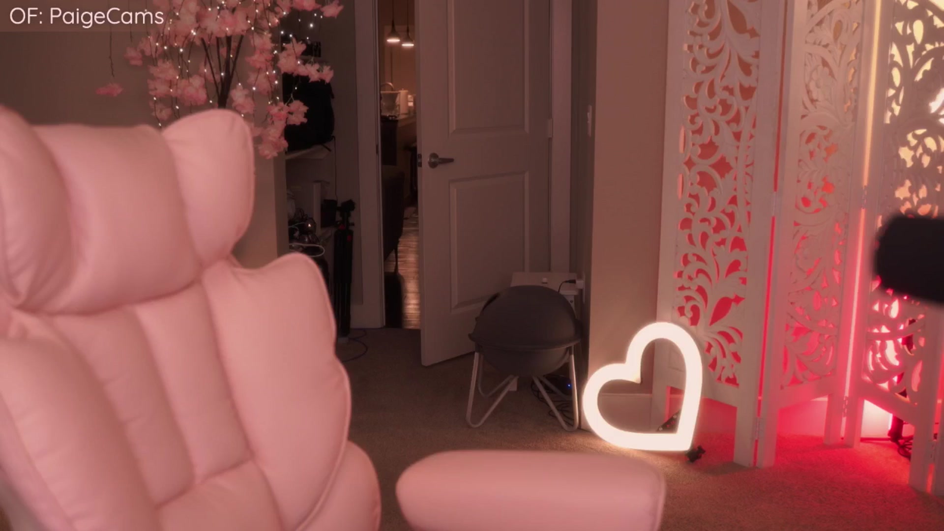 Gallery image thumbnail from Paige's myfreecams stream on, 04/19/2026, 04:25 image 10 of 20