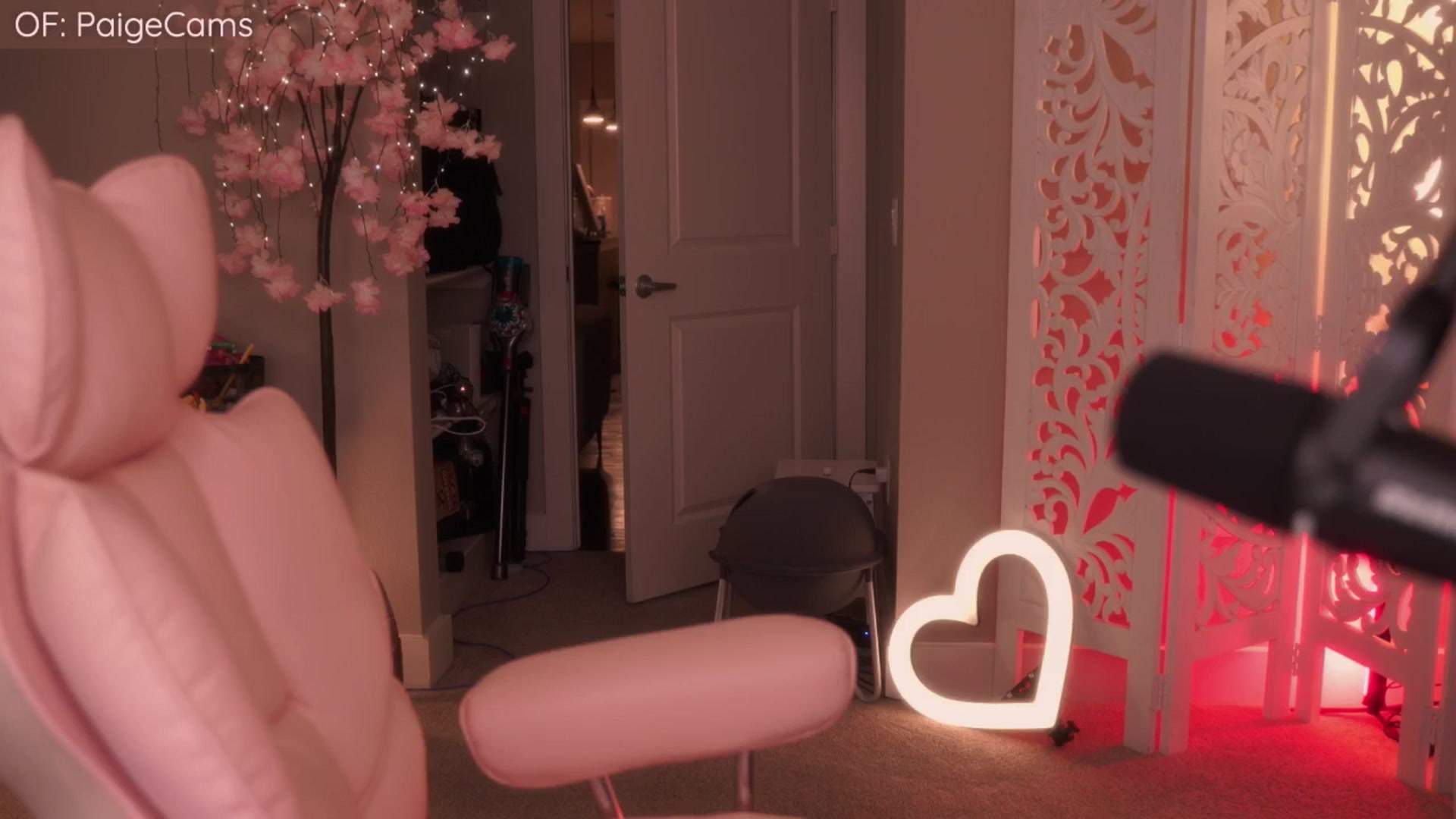 Gallery image thumbnail from Paige's myfreecams stream on, 04/25/2026, 02:18 image 17 of 20