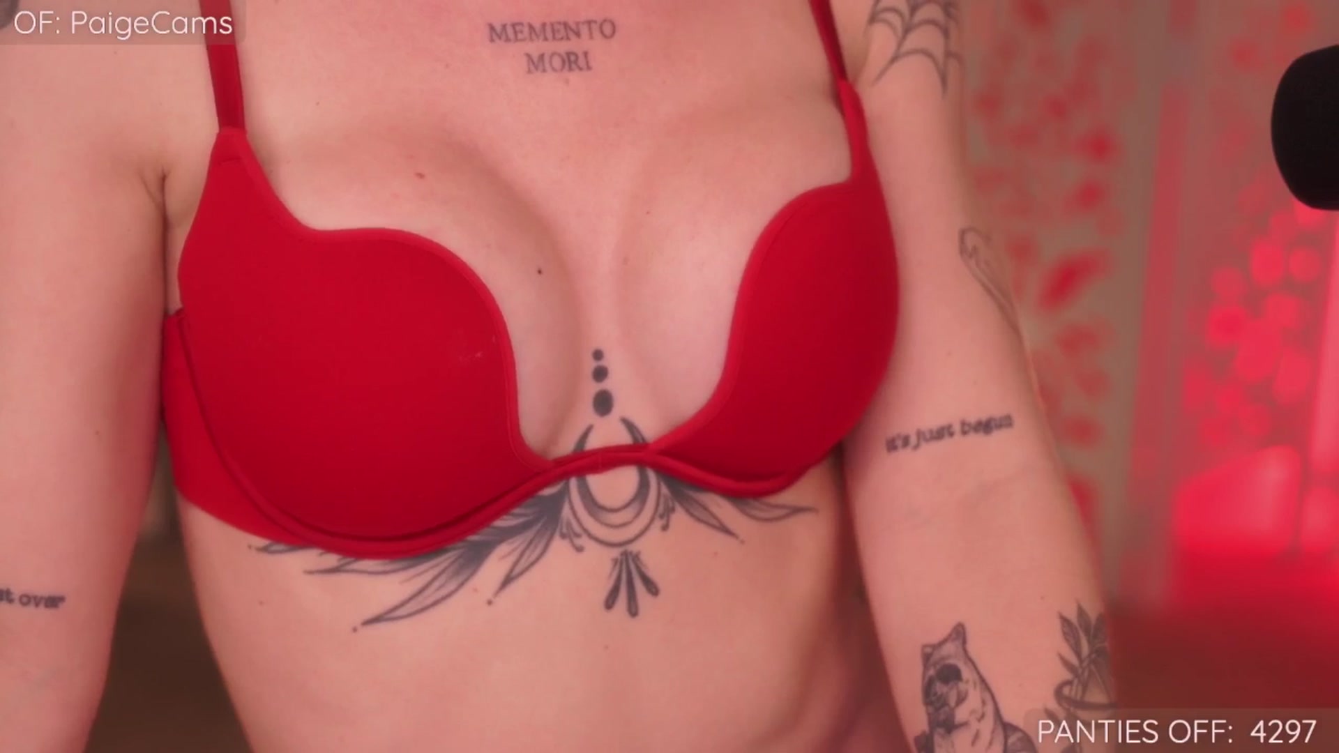 Gallery image thumbnail from Paige's myfreecams stream on, 04/25/2026, 04:48 image 7 of 20