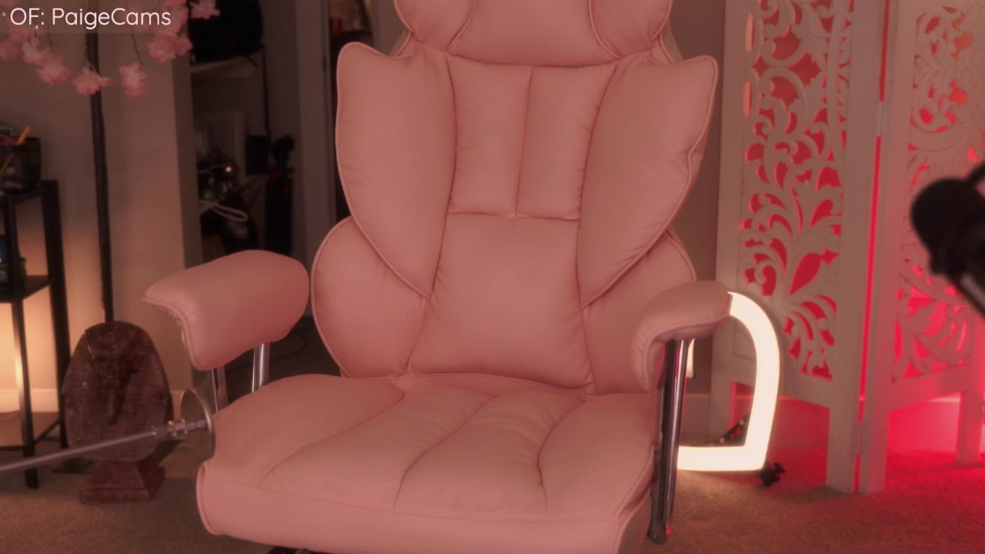 Gallery image thumbnail from Paige's myfreecams stream on, 05/02/2026, 04:39 image 18 of 20