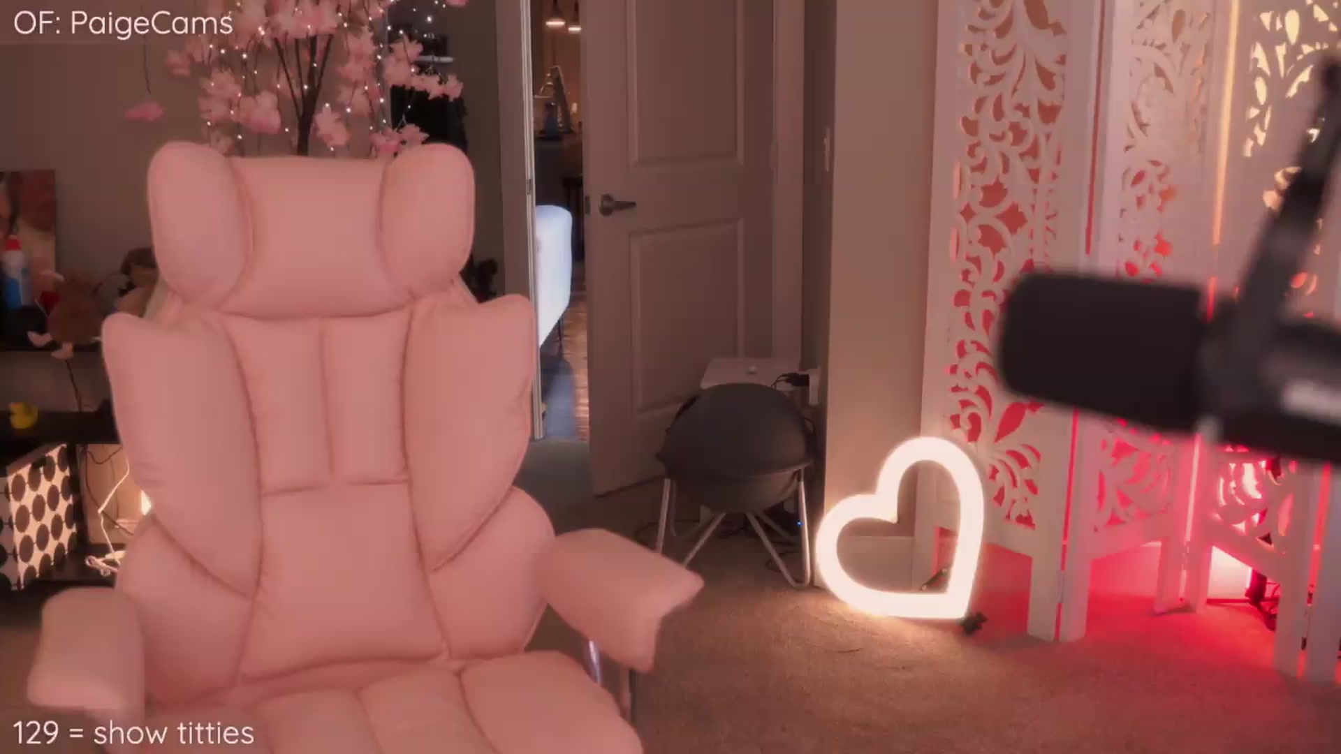 Gallery image thumbnail from Paige's myfreecams stream on, 05/09/2026, 02:55 image 5 of 20