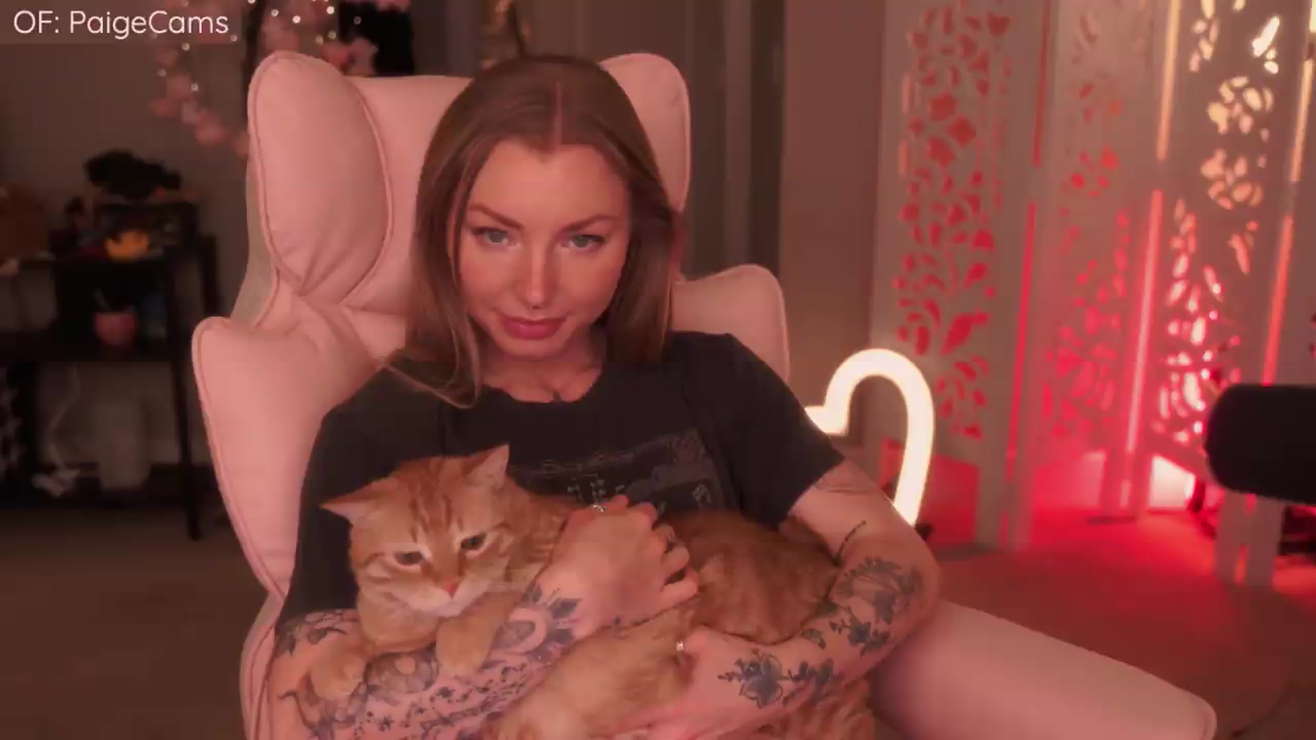 Gallery image thumbnail from Paige's myfreecams stream on, 05/23/2026, 04:43 image 3 of 20