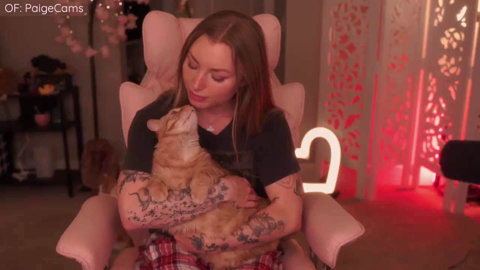 Gallery image thumbnail from Paige's myfreecams stream on, 05/23/2026, 04:43 image 4 of 20