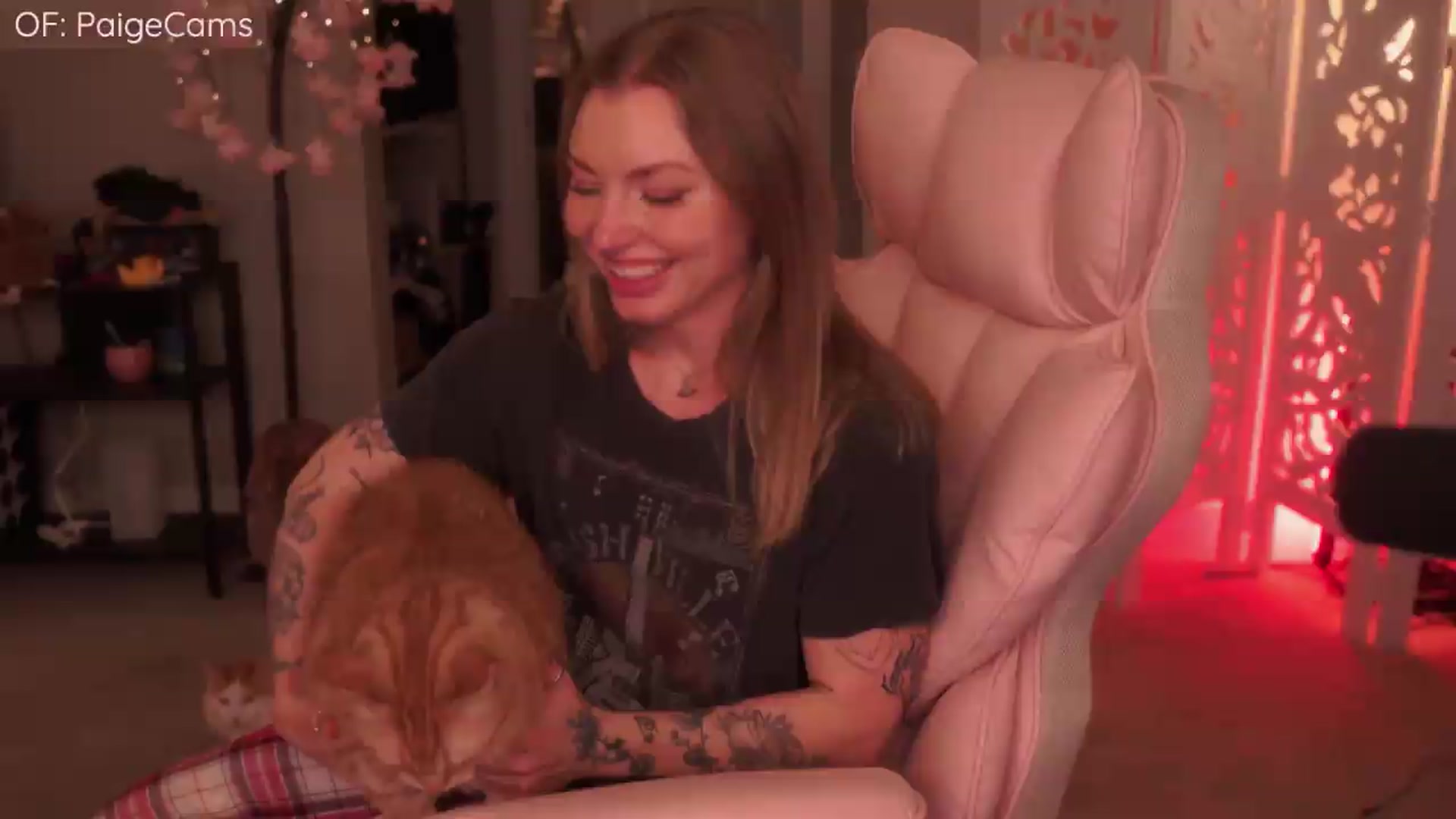 Gallery image thumbnail from Paige's myfreecams stream on, 05/23/2026, 04:43 image 8 of 20