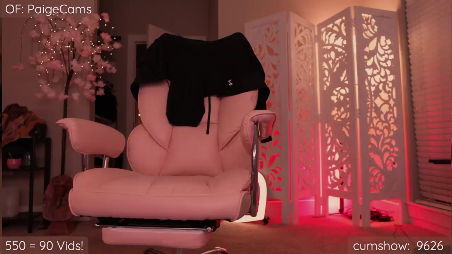 Gallery image thumbnail from Paige's myfreecams stream on, 05/24/2026, 03:19 image 20 of 20