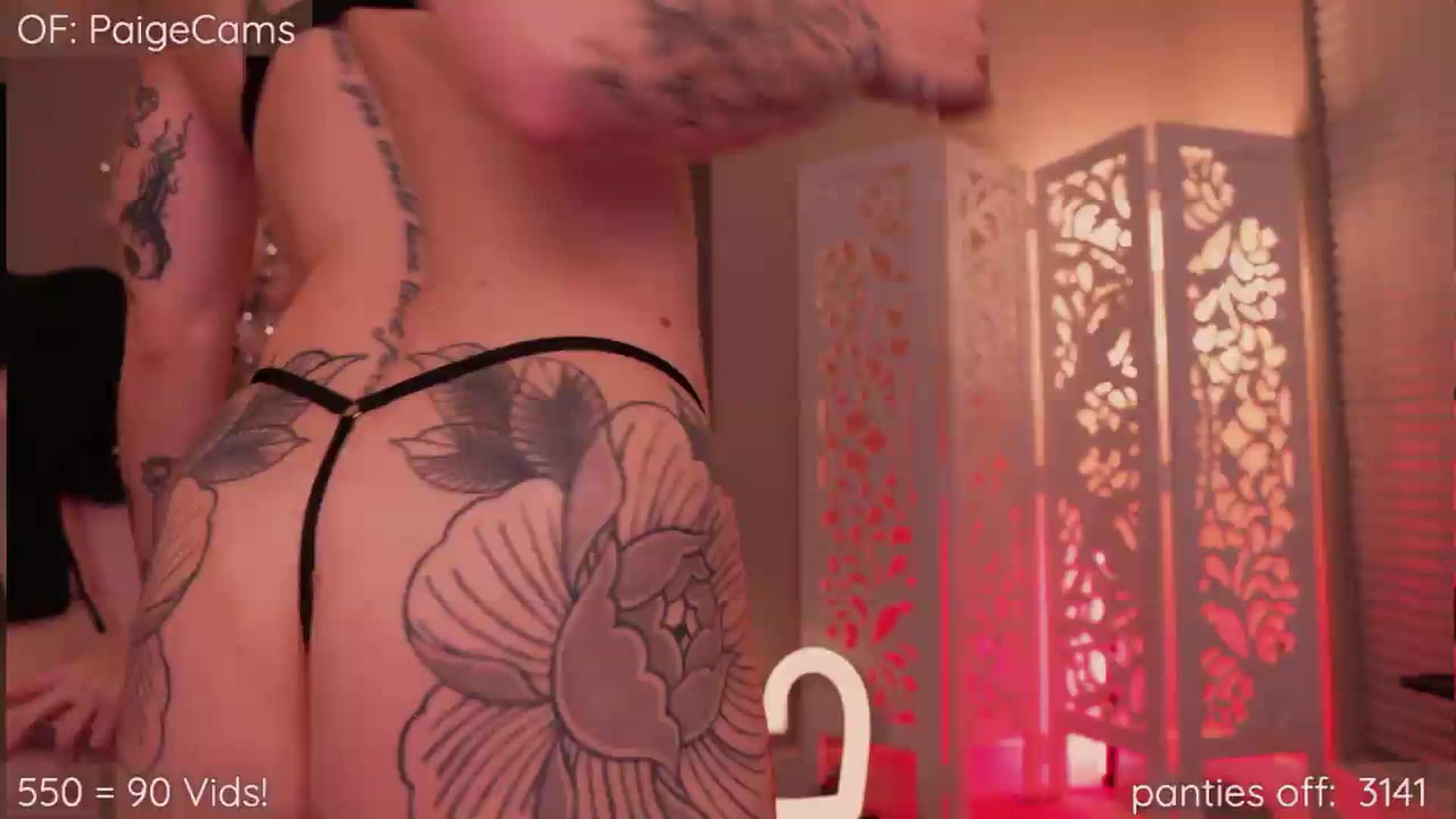 Gallery image thumbnail from Paige's myfreecams stream on, 05/24/2026, 03:19 image 11 of 20