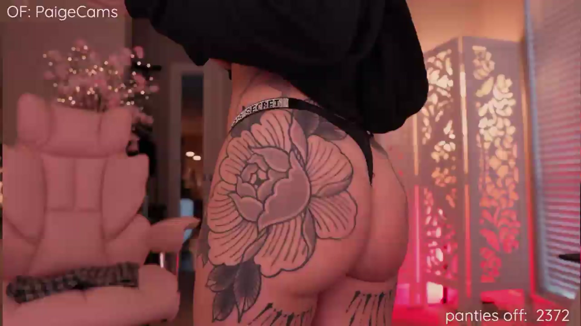 Gallery image thumbnail from Paige's myfreecams stream on, 05/25/2026, 01:38 image 7 of 20