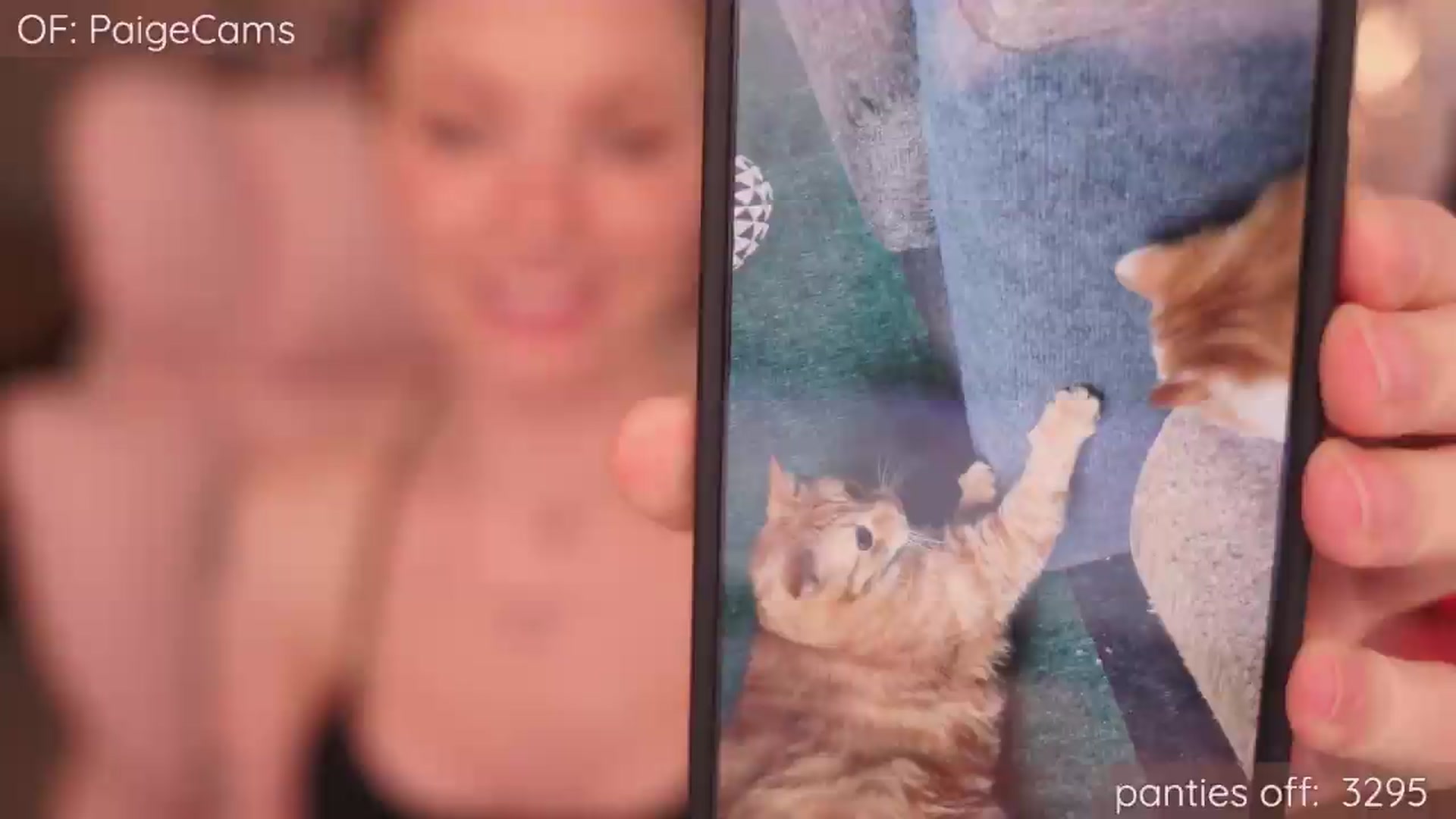Gallery image thumbnail from Paige's myfreecams stream on, 05/26/2026, 24:33 image 6 of 20