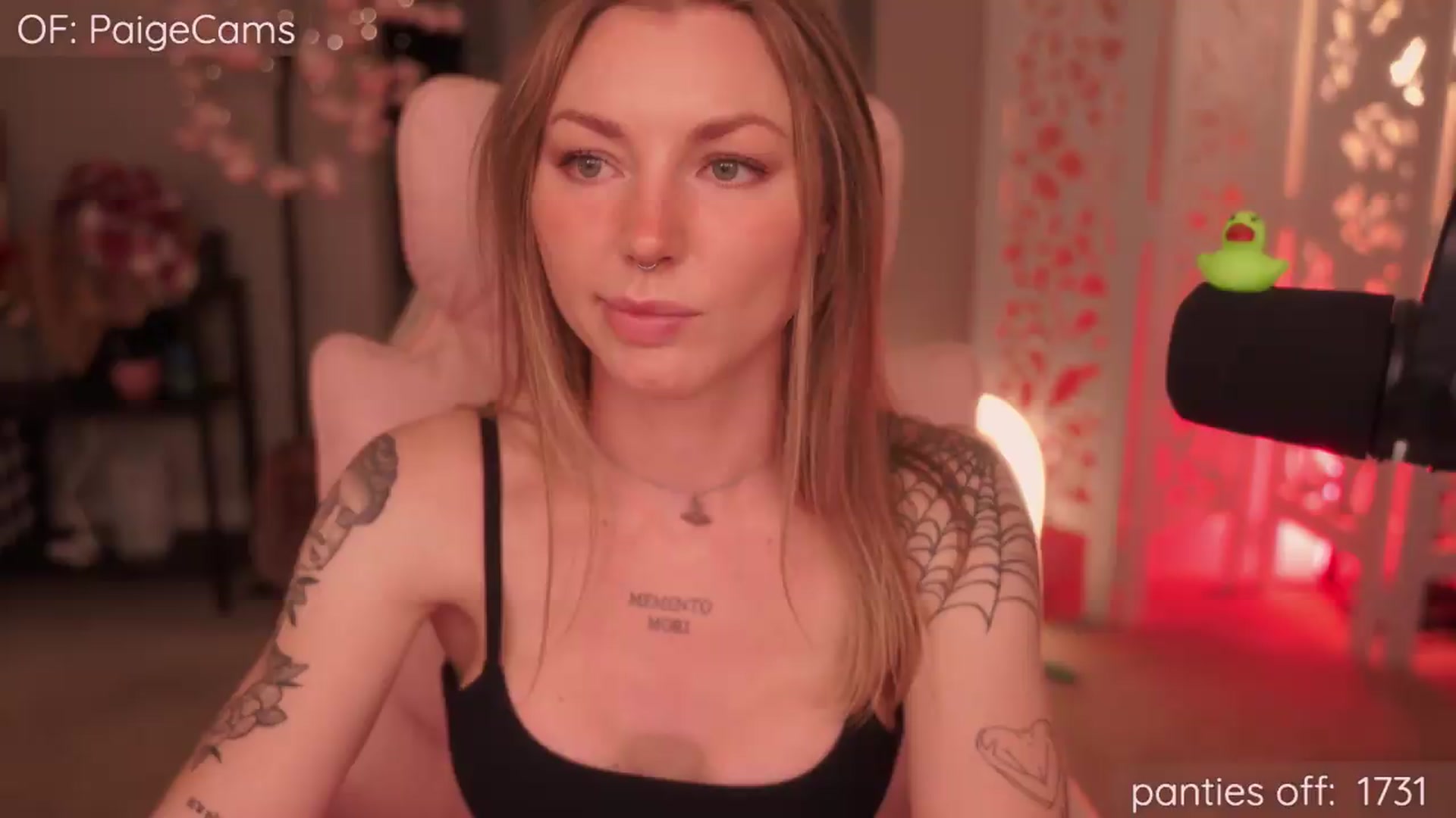 Gallery image thumbnail from Paige's myfreecams stream on, 05/28/2026, 05:22 image 13 of 20
