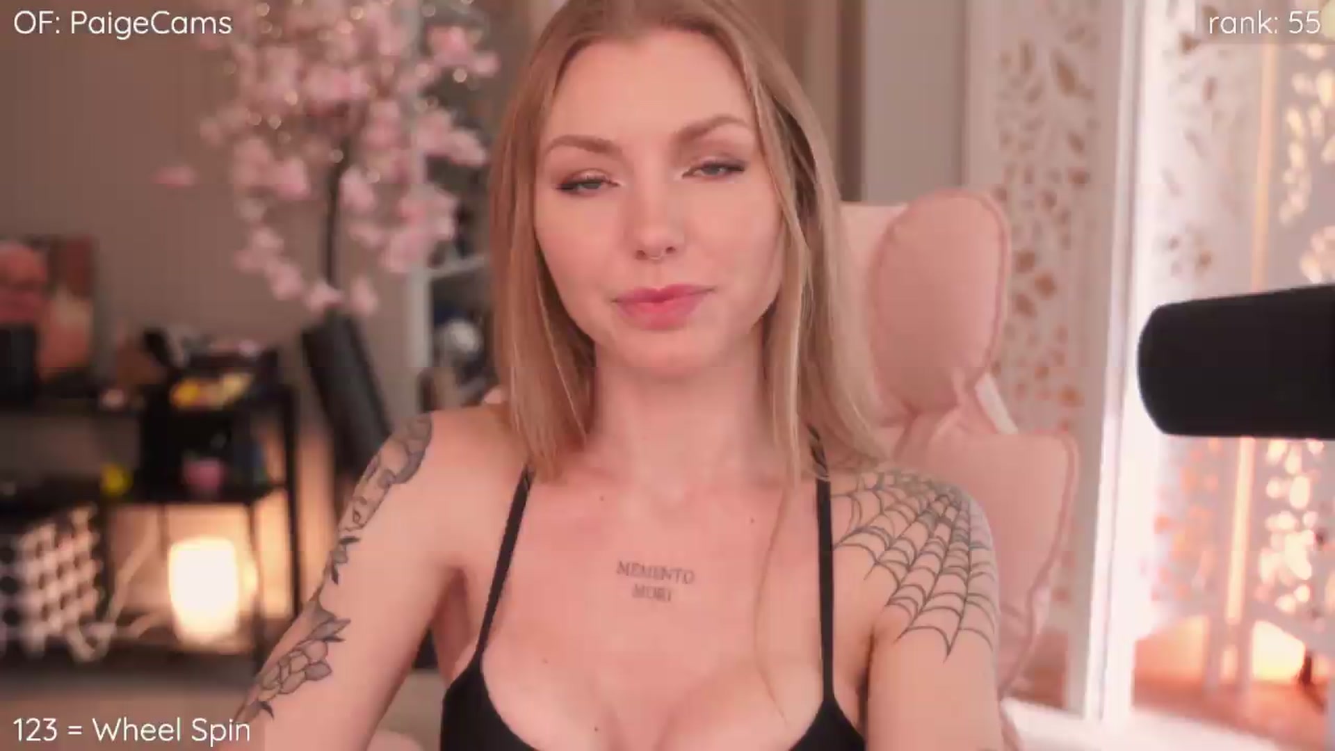 Gallery image thumbnail from Paige's myfreecams stream on, 09/11/2026, 20:19 image 17 of 20