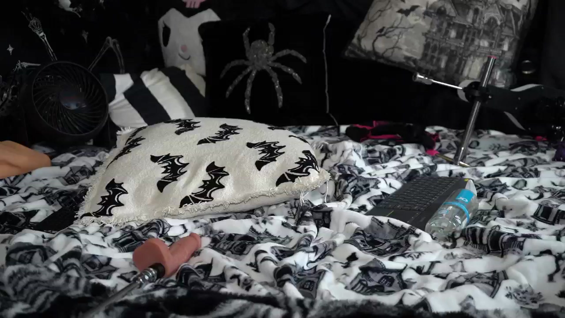 Gallery image thumbnail from Paige_Turner_'s myfreecams stream on, 08/03/2025, 06:59 image 15 of 20