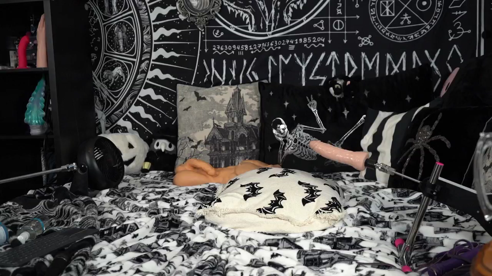 Gallery image thumbnail from Paige_Turner_'s myfreecams stream on, 08/03/2025, 17:44 image 12 of 20