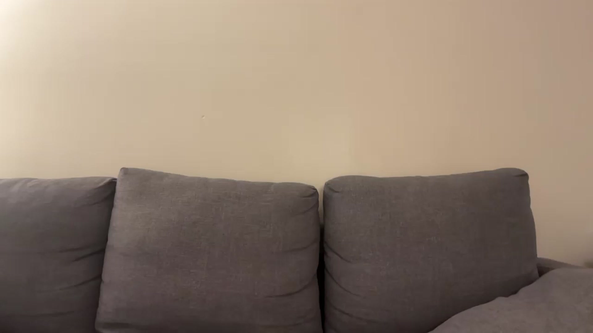 Gallery image thumbnail from PaleKitty's myfreecams stream on, 11/10/2024, 09:21 image 15 of 20