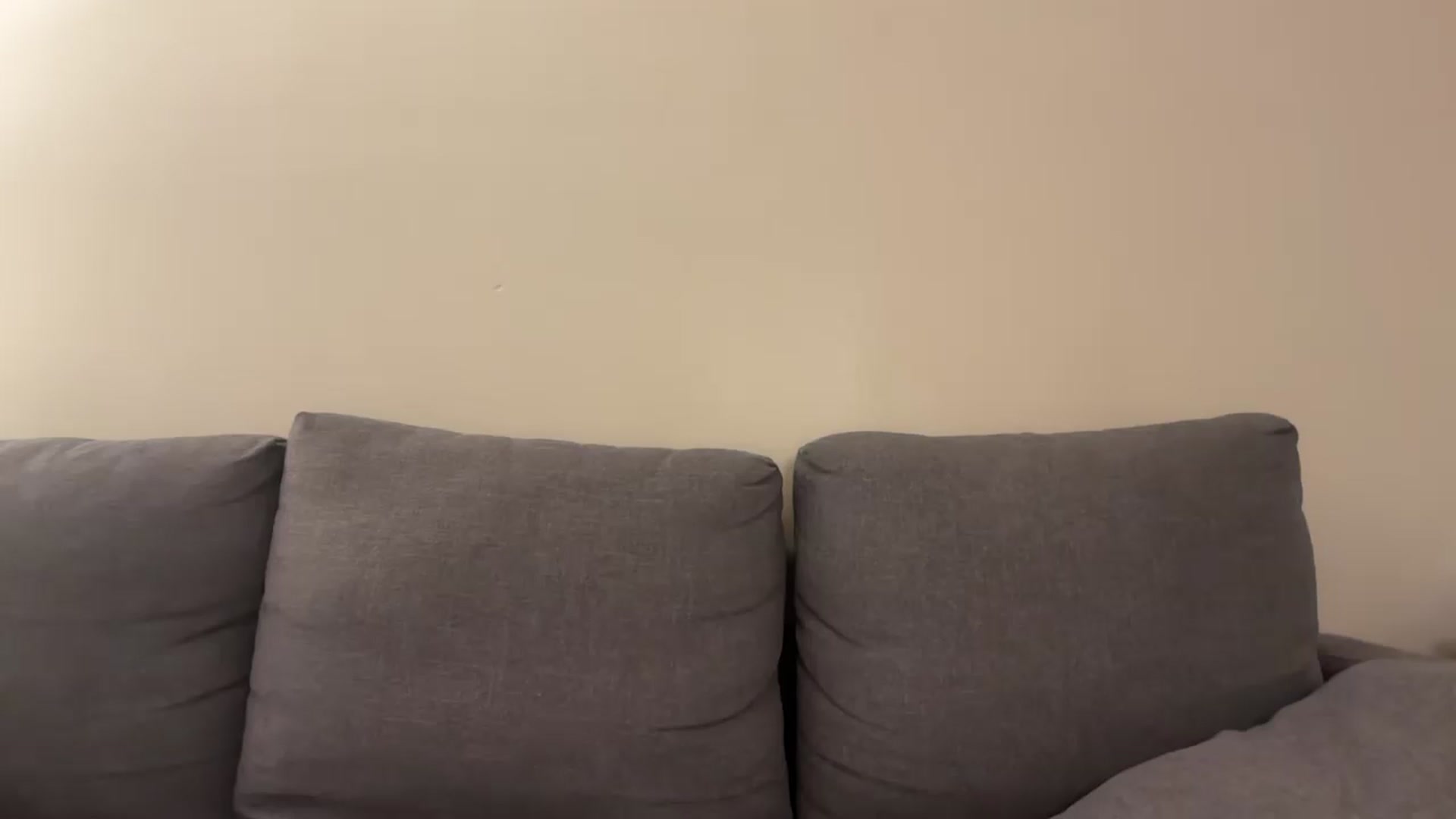 Gallery image thumbnail from PaleKitty's myfreecams stream on, 11/10/2024, 09:21 image 16 of 20