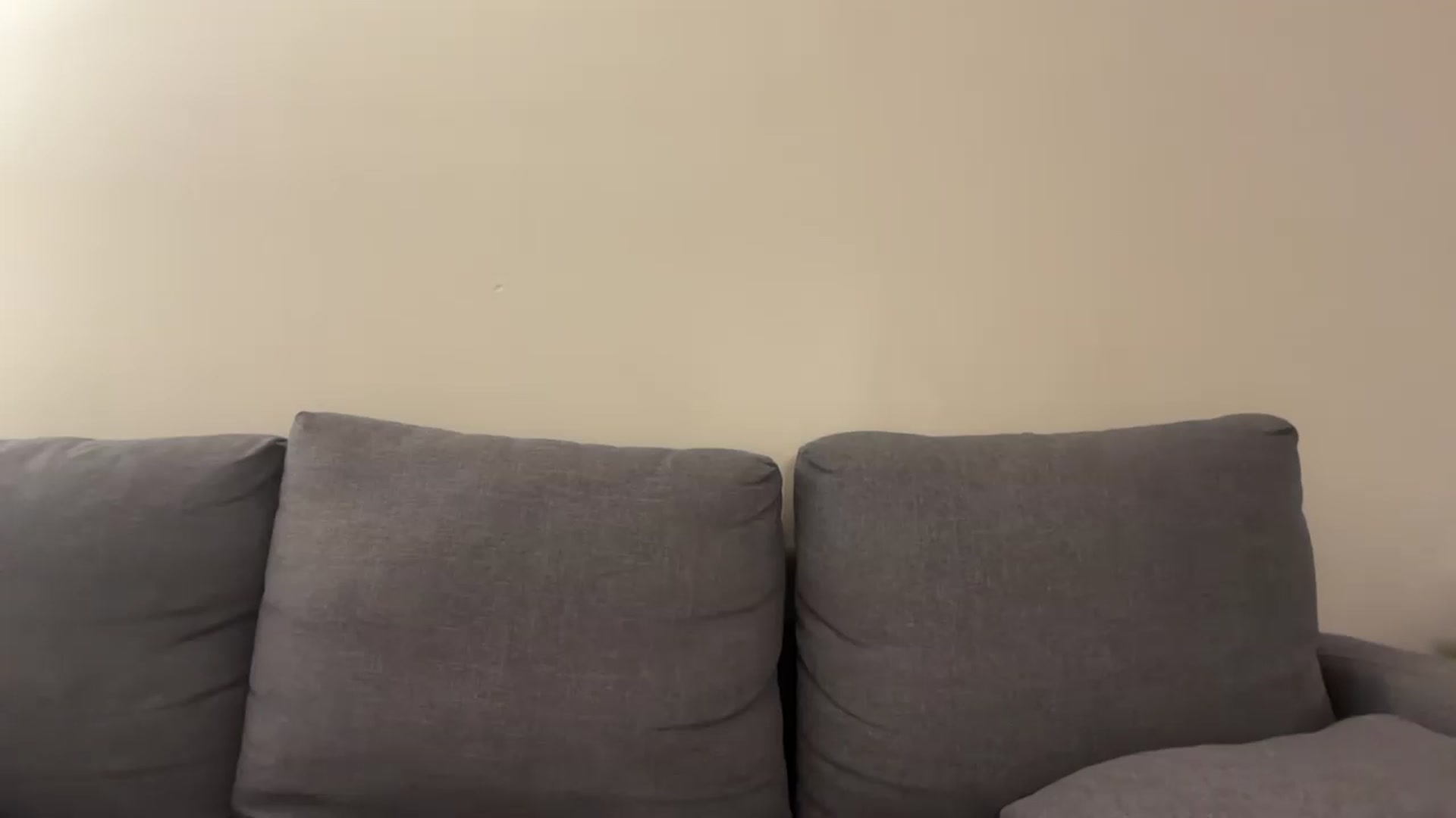 Gallery image thumbnail from PaleKitty's myfreecams stream on, 11/10/2024, 09:21 image 20 of 20