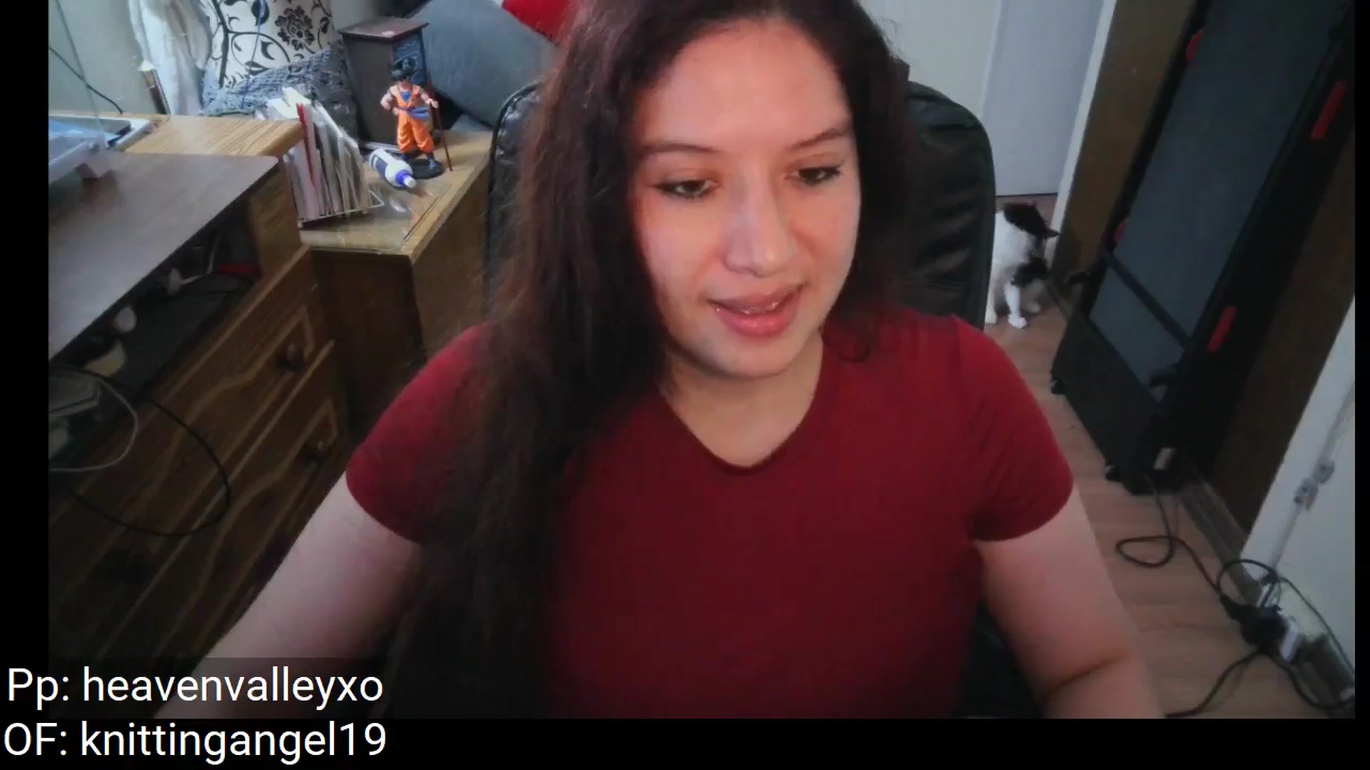 Gallery image thumbnail from PameHeaven's myfreecams stream on, 04/20/2025, 03:09 image 5 of 20