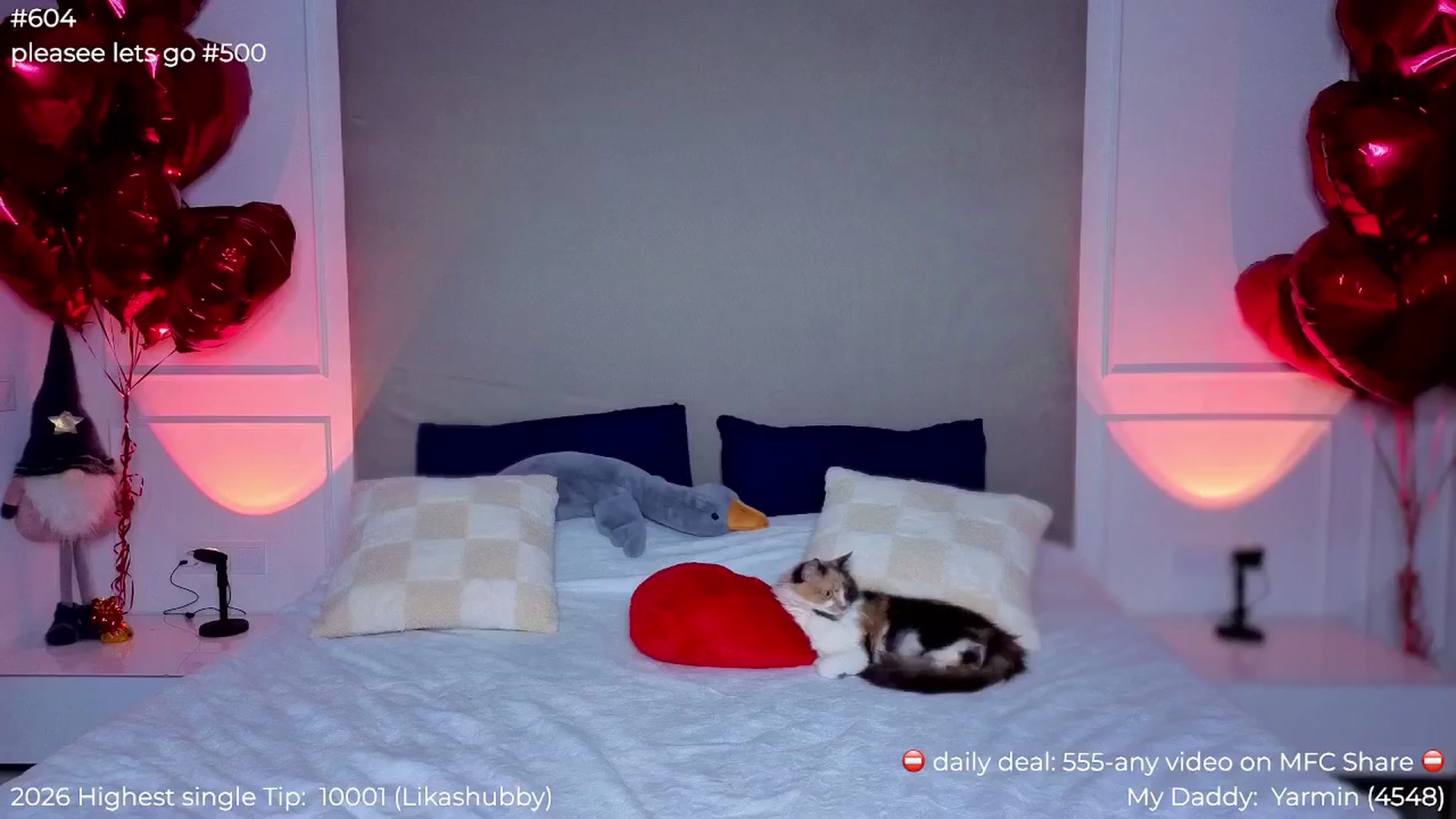 Gallery image thumbnail from Panamera_888's myfreecams stream on, 02/25/2026, 24:03 image 12 of 20
