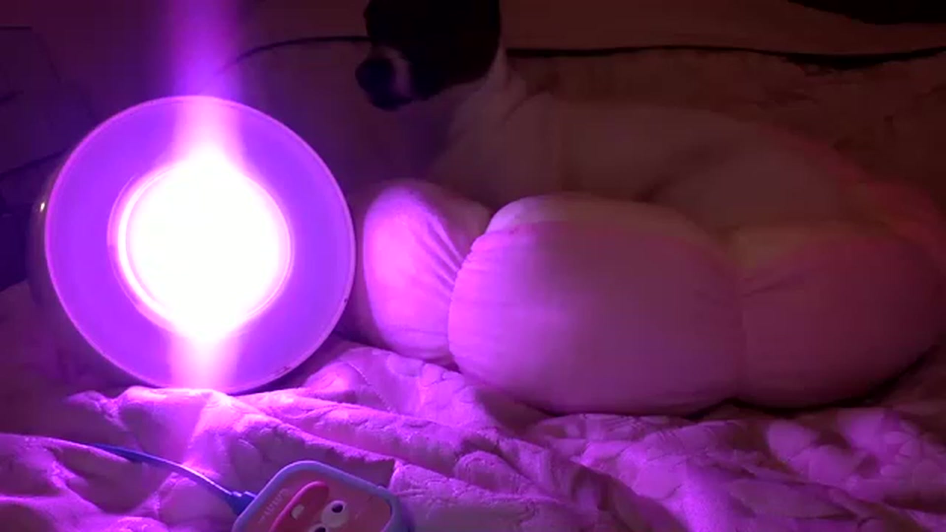 Gallery image thumbnail from Pandabella's myfreecams stream on, 01/07/2023, 22:54 image 2 of 20