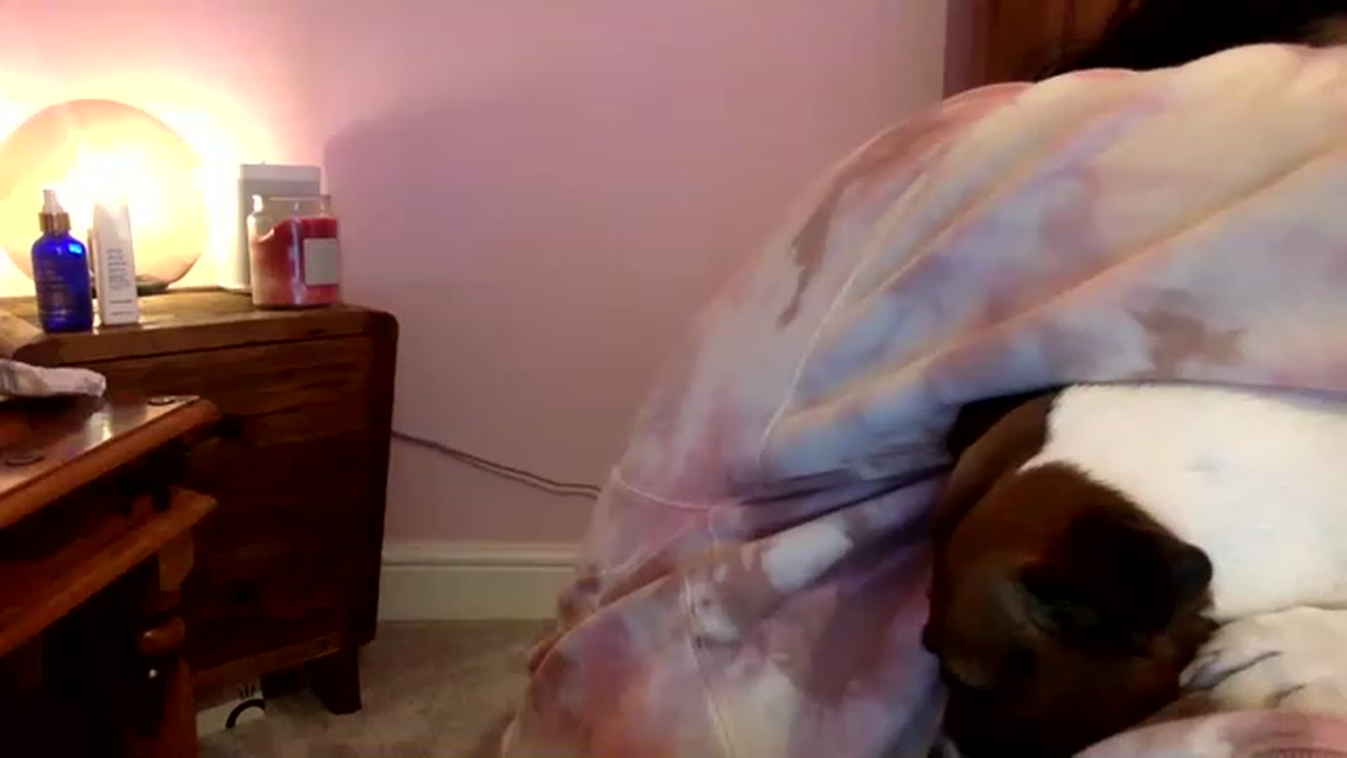 Gallery image thumbnail from Pandabella's myfreecams stream on, 03/20/2023, 13:34 image 12 of 20