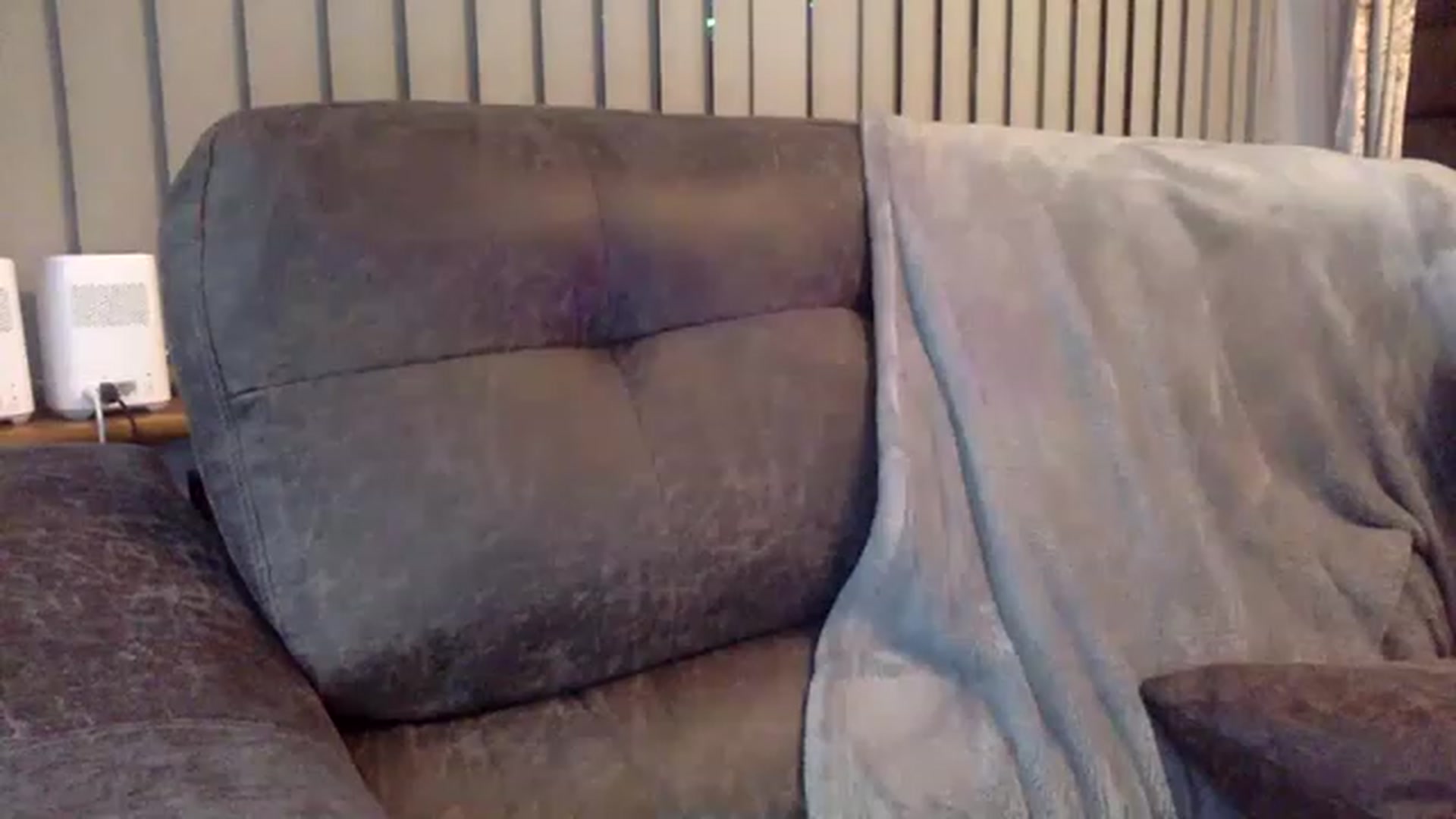 Gallery image thumbnail from Pandabella's myfreecams stream on, 04/15/2023, 22:01 image 13 of 20