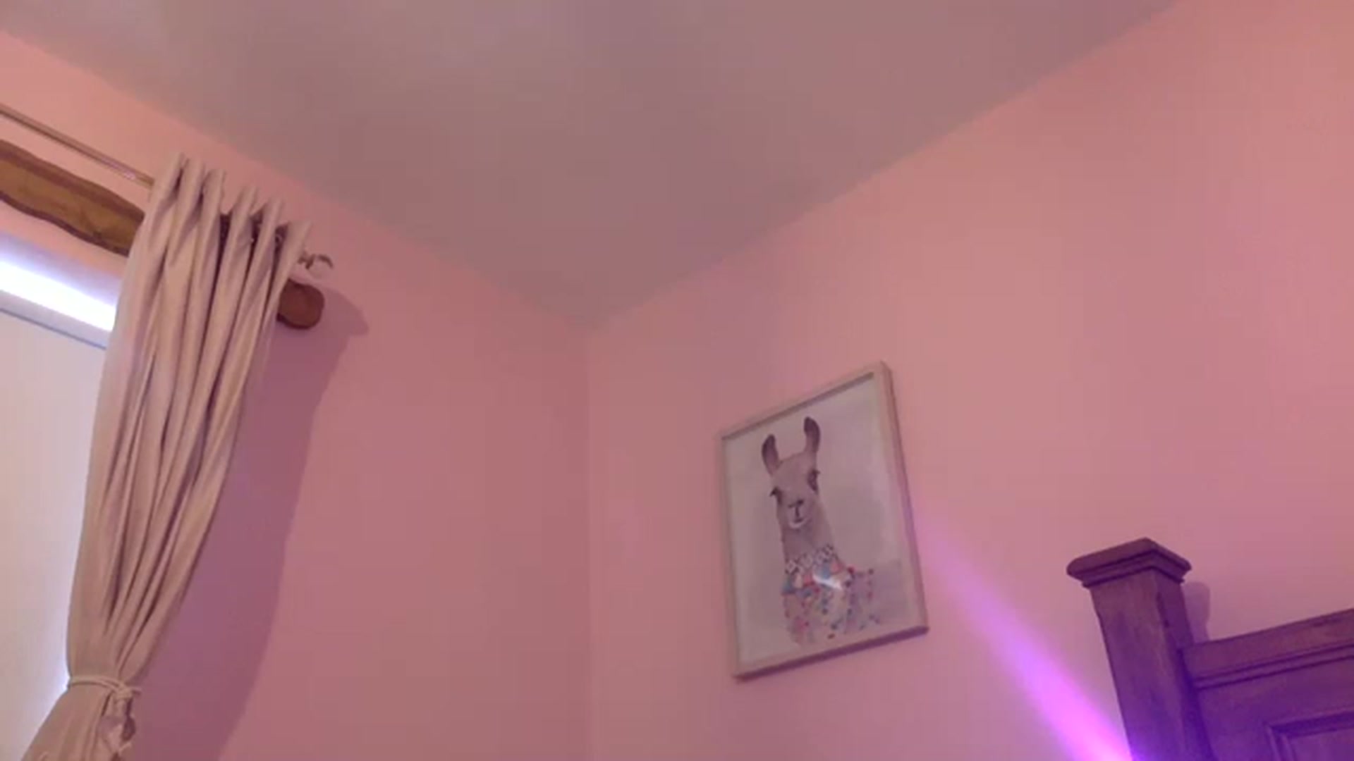 Gallery image thumbnail from Pandabella's myfreecams stream on, 05/19/2023, 10:56 image 11 of 20