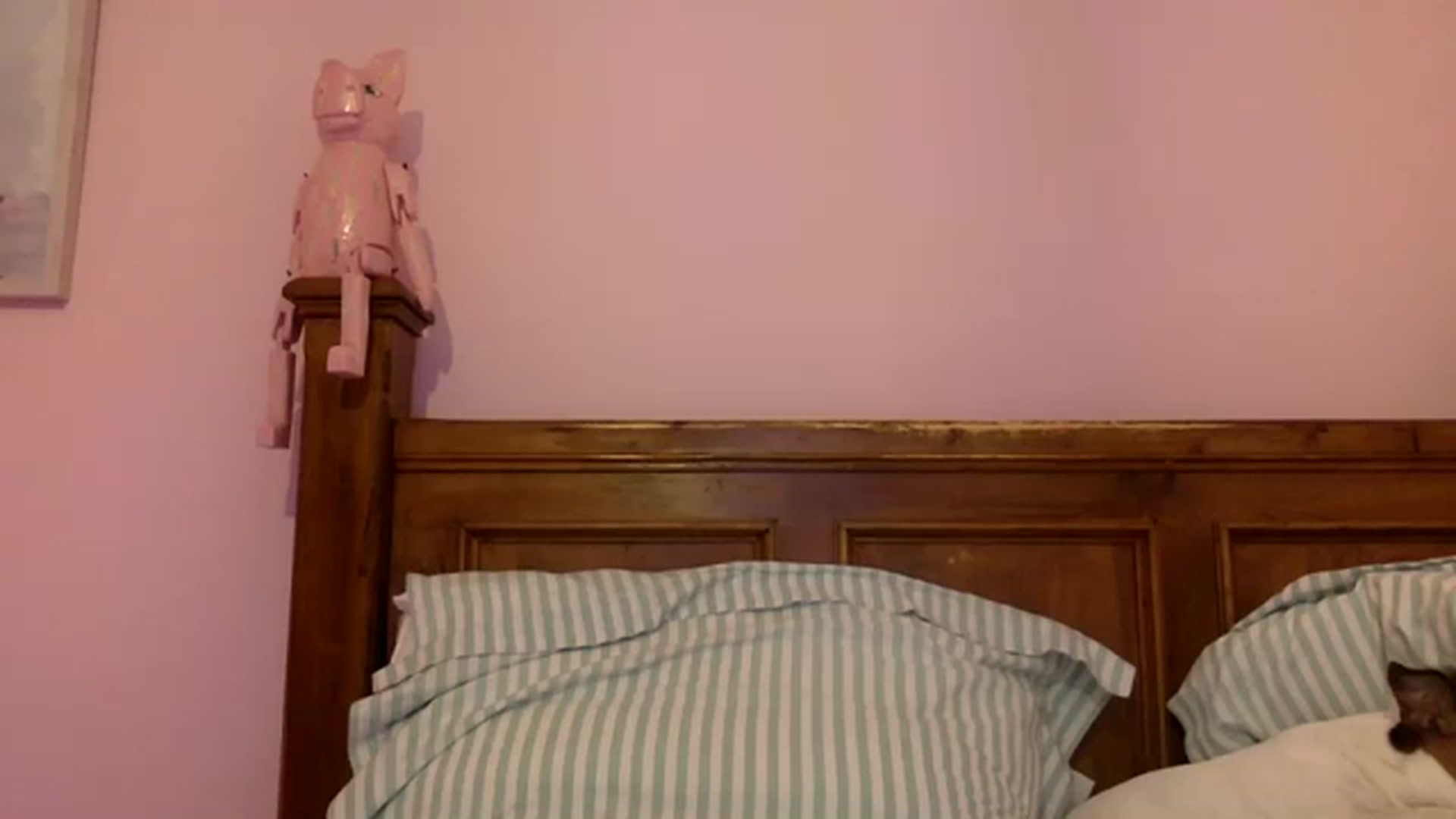 Gallery image thumbnail from Pandabella's myfreecams stream on, 08/27/2023, 21:51 image 4 of 20