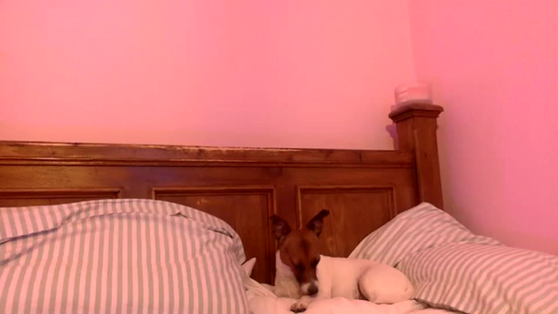 Gallery image thumbnail from Pandabella's myfreecams stream on, 08/27/2023, 22:49 image 1 of 20