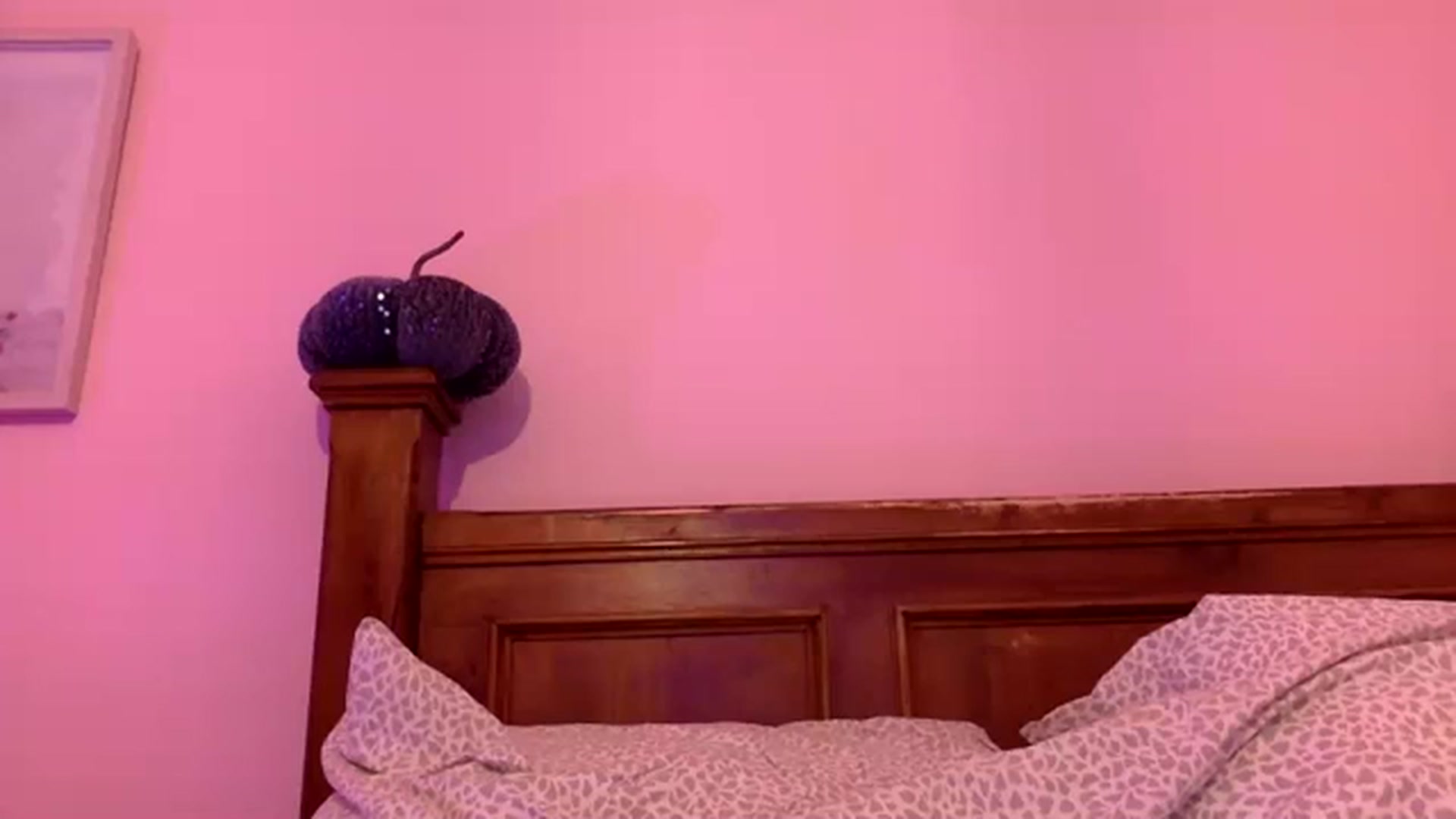 Gallery image thumbnail from Pandabella's myfreecams stream on, 10/14/2023, 24:31 image 2 of 20