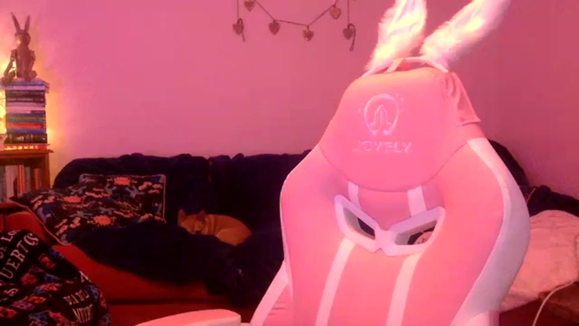 Gallery image thumbnail from Pandabella's myfreecams stream on, 12/05/2023, 03:53 image 14 of 20