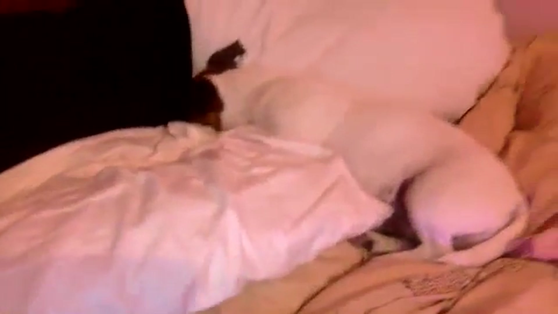 Gallery image thumbnail from Pandabella's myfreecams stream on, 06/08/2024, 03:33 image 14 of 20