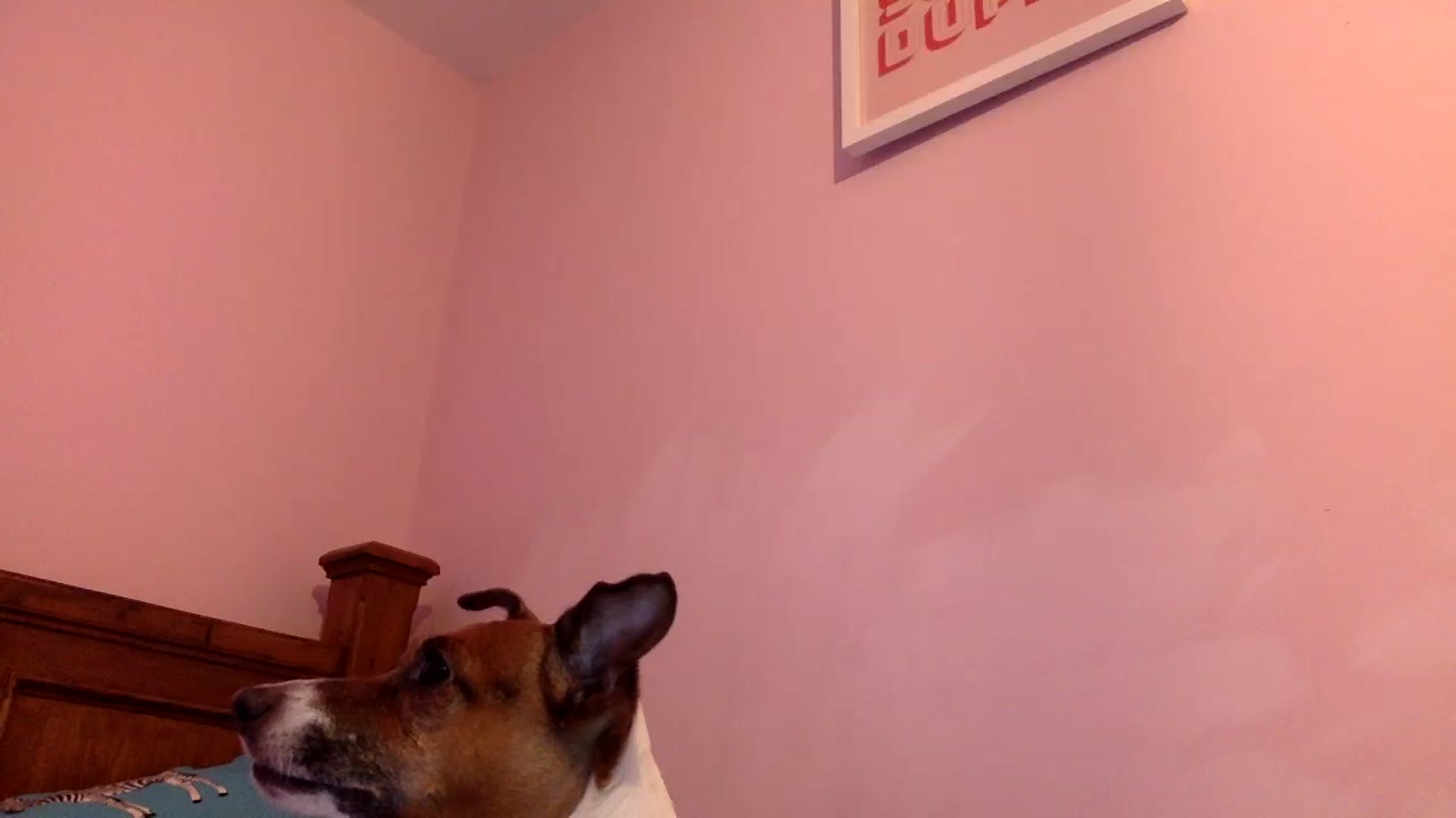 Gallery image thumbnail from Pandabella's myfreecams stream on, 11/30/2024, 24:00 image 2 of 20