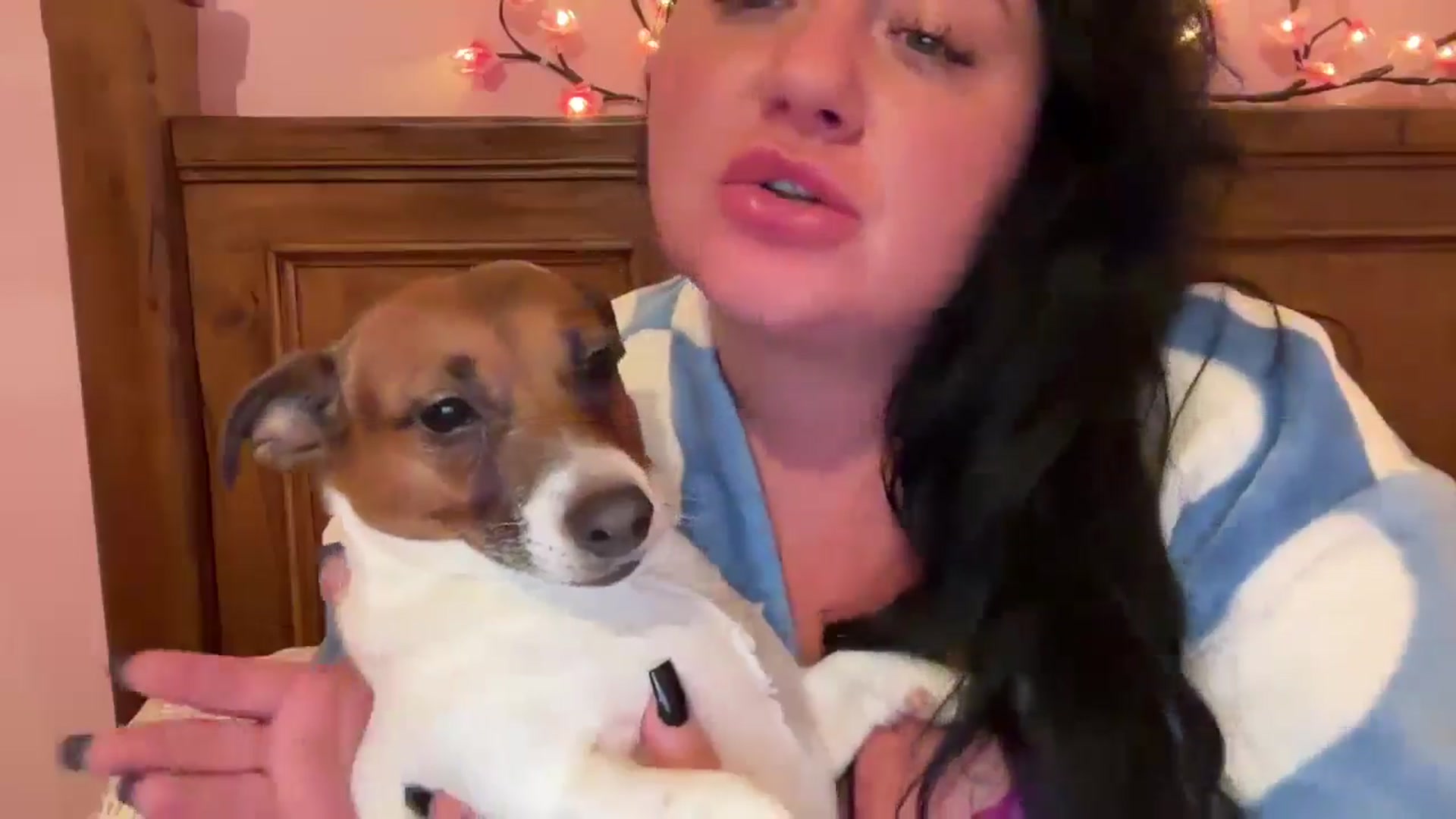 Gallery image thumbnail from Pandabella's myfreecams stream on, 01/21/2025, 24:01 image 19 of 20