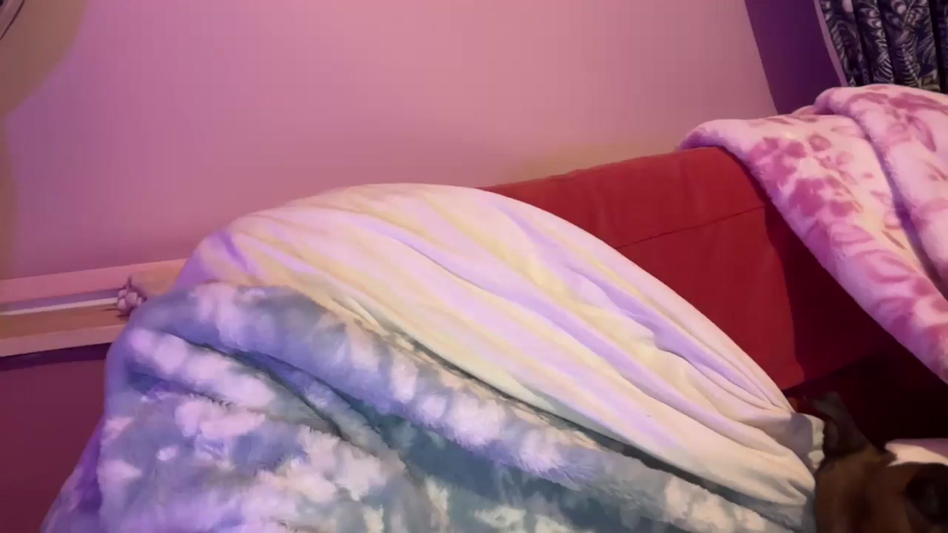 Gallery image thumbnail from Pandabella's myfreecams stream on, 01/02/2026, 03:28 image 5 of 20