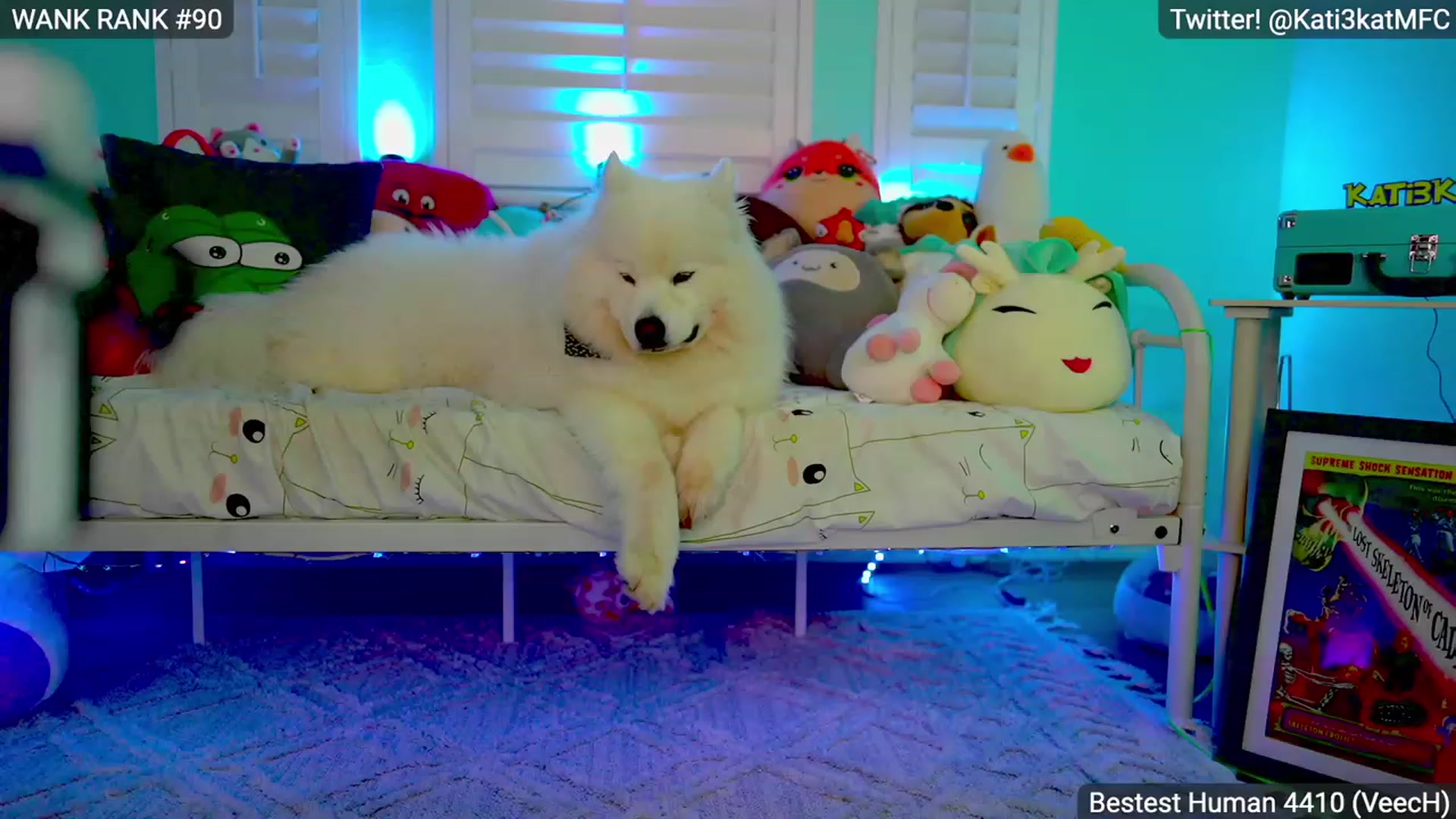 Gallery image thumbnail from Papi_Azul's myfreecams stream on, 04/04/2023, 07:59 image 15 of 20