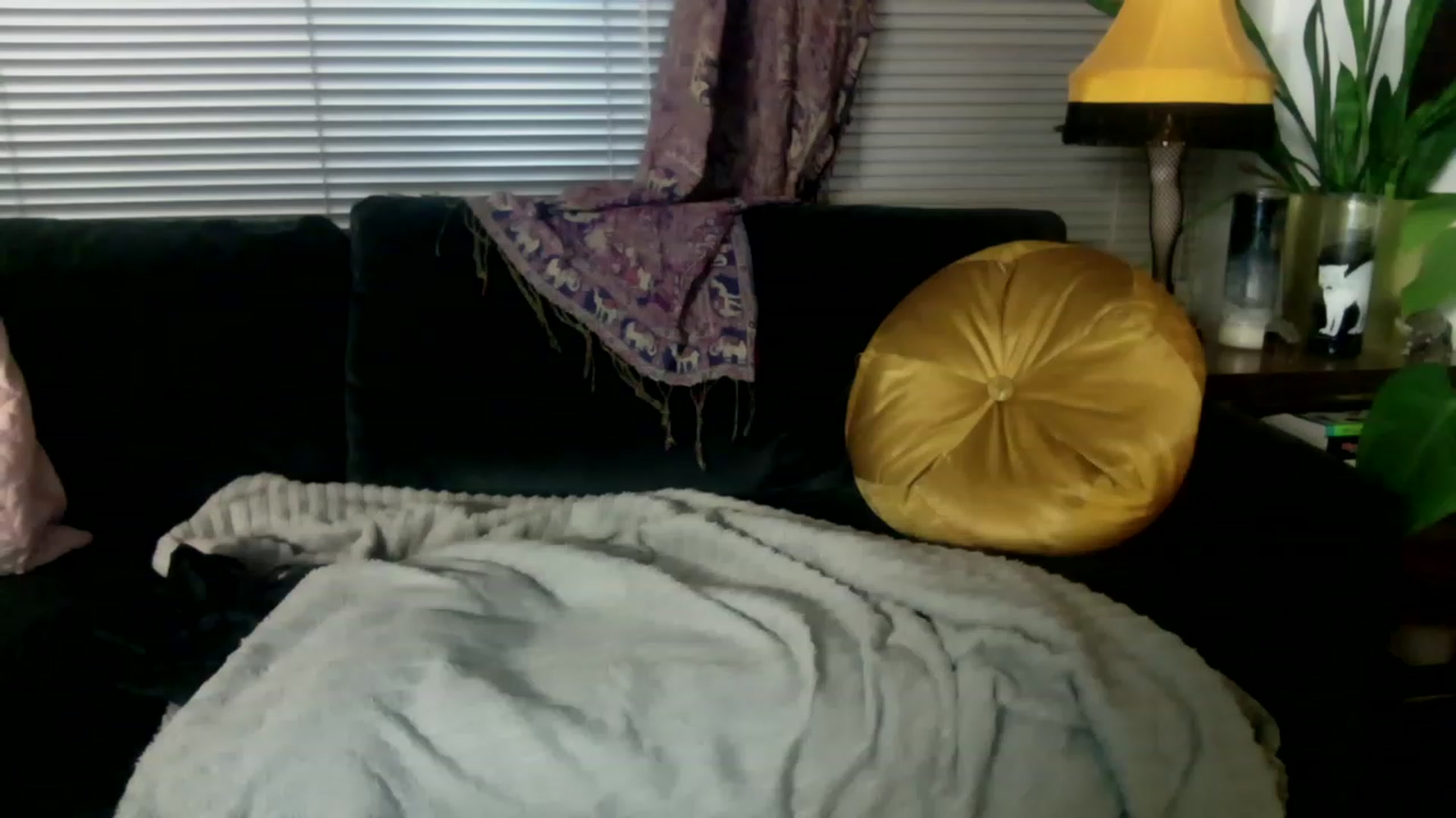Gallery image thumbnail from ParisGreen666's myfreecams stream on, 03/18/2023, 12:54 image 8 of 20