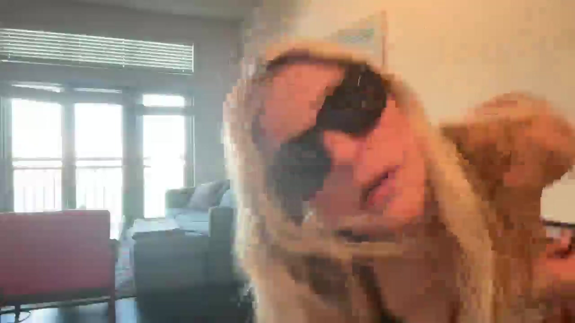 Gallery image thumbnail from Partygirl1's myfreecams stream on, 05/11/2026, 15:46 image 10 of 20