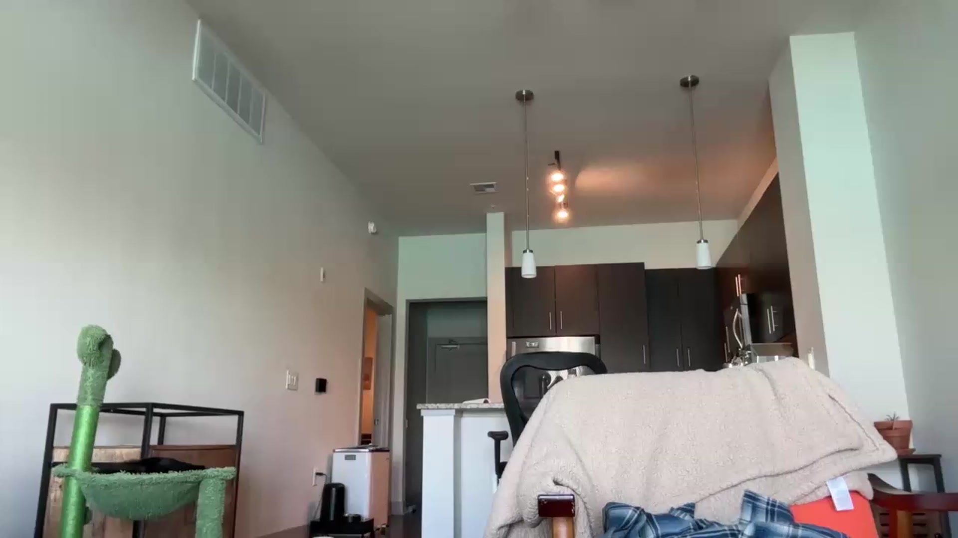 Gallery image thumbnail from Partygirl1's myfreecams stream on, 05/22/2026, 19:09 image 11 of 20
