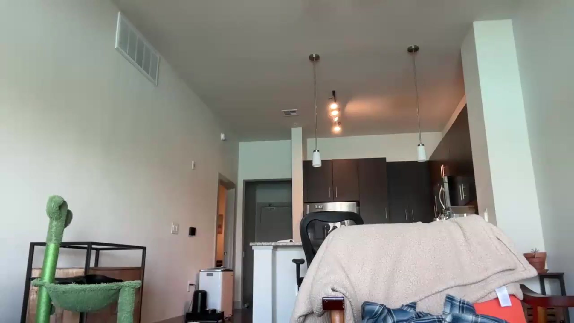 Gallery image thumbnail from Partygirl1's myfreecams stream on, 05/22/2026, 19:09 image 12 of 20