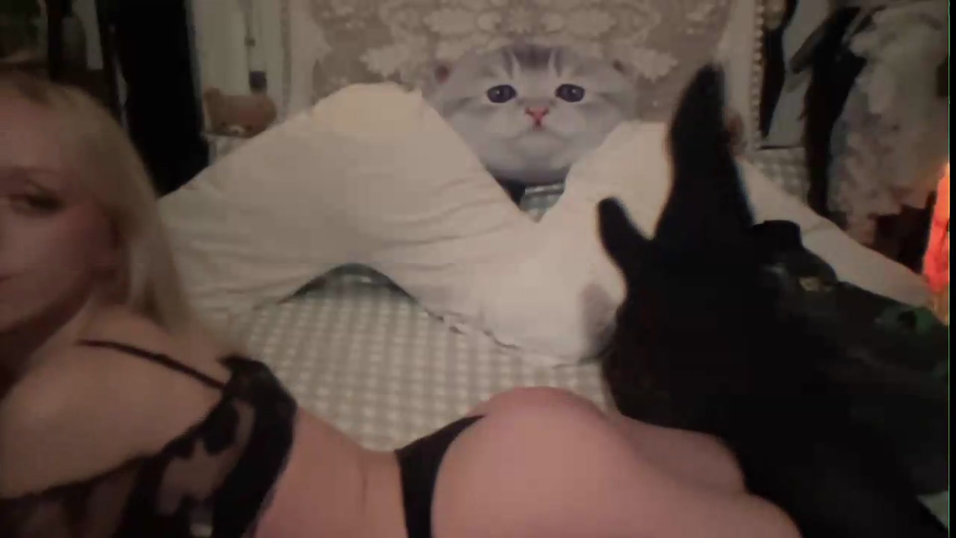 Gallery image thumbnail from PeachHaze's myfreecams stream on, 07/27/2026, 08:46 image 4 of 20