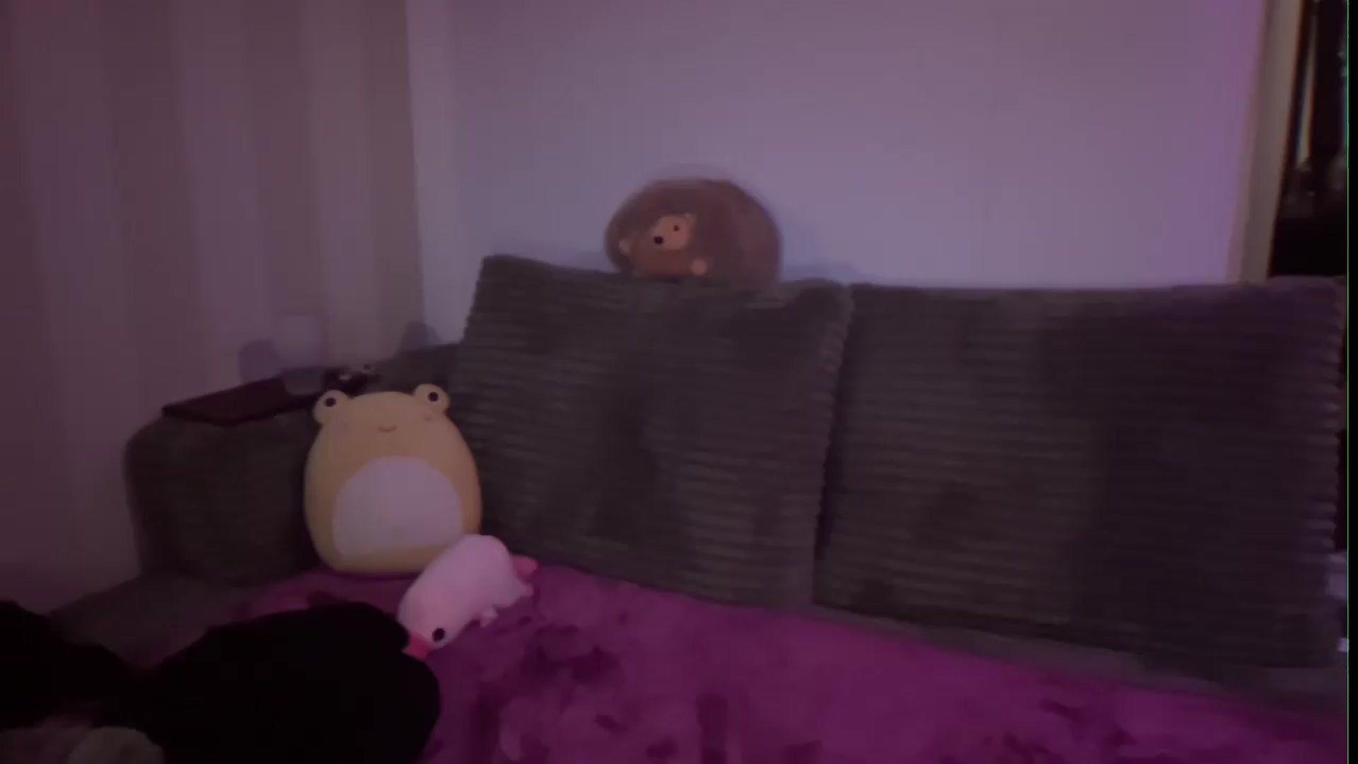 Gallery image thumbnail from PeachHaze's myfreecams stream on, 08/27/2026, 05:06 image 19 of 20