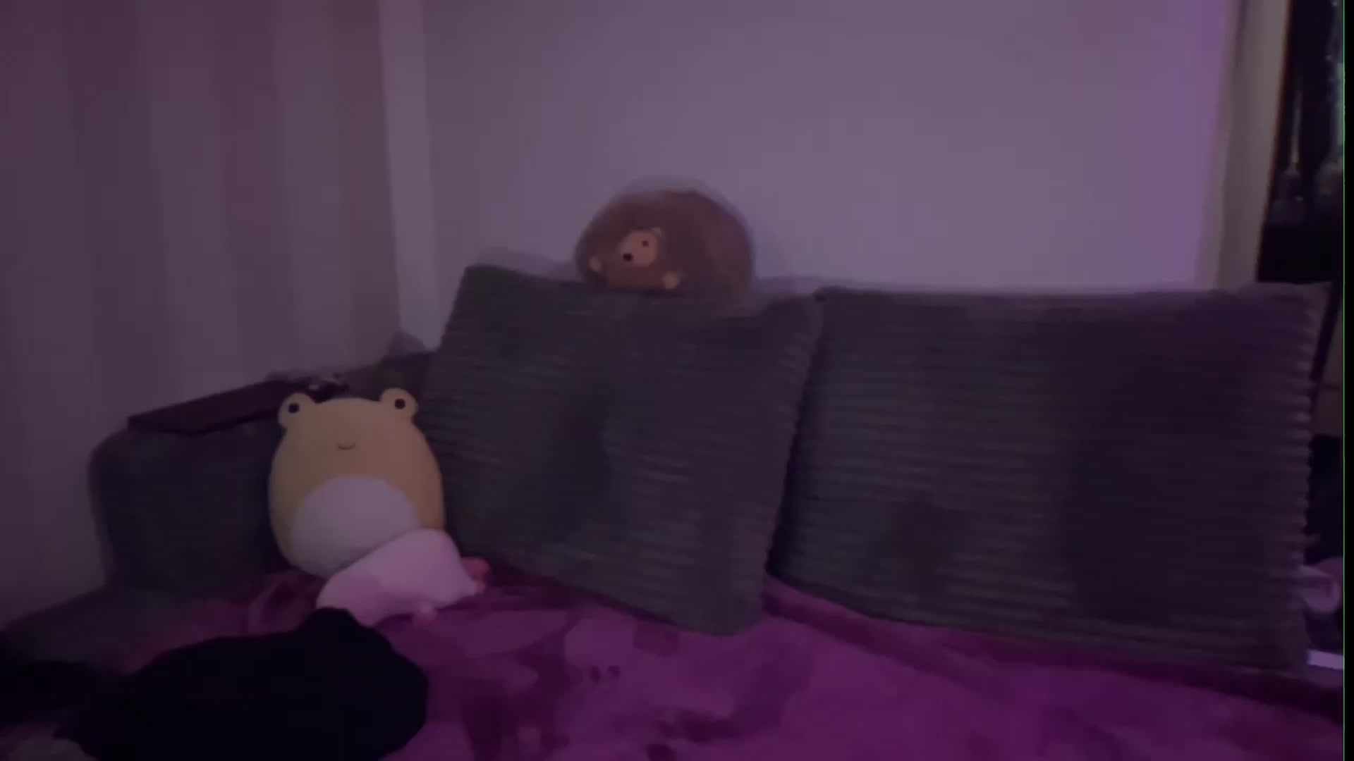 Gallery image thumbnail from PeachHaze's myfreecams stream on, 08/27/2026, 06:26 image 17 of 20