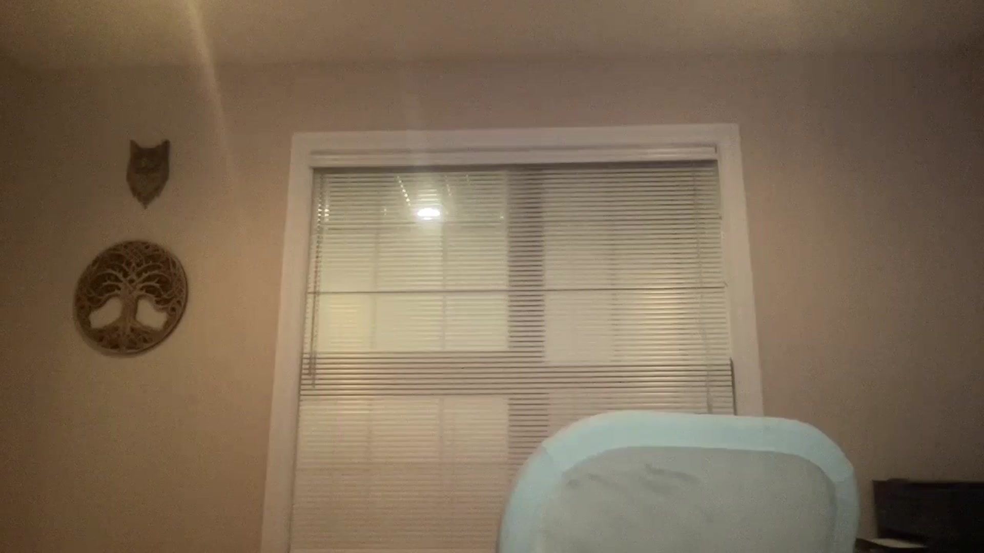Gallery image thumbnail from Peachesacream's myfreecams stream on, 05/10/2024, 09:20 image 12 of 20