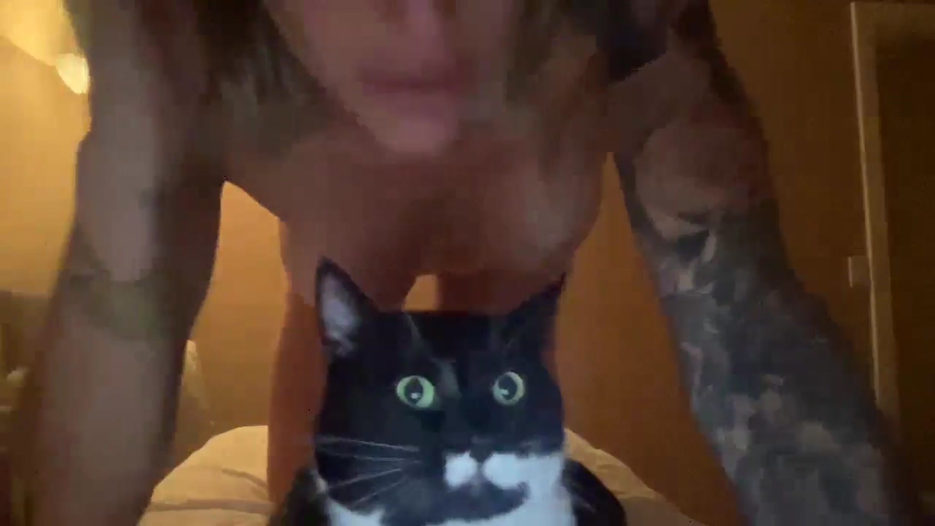 Gallery image thumbnail from Peachesacream's myfreecams stream on, 08/07/2024, 07:37 image 15 of 20