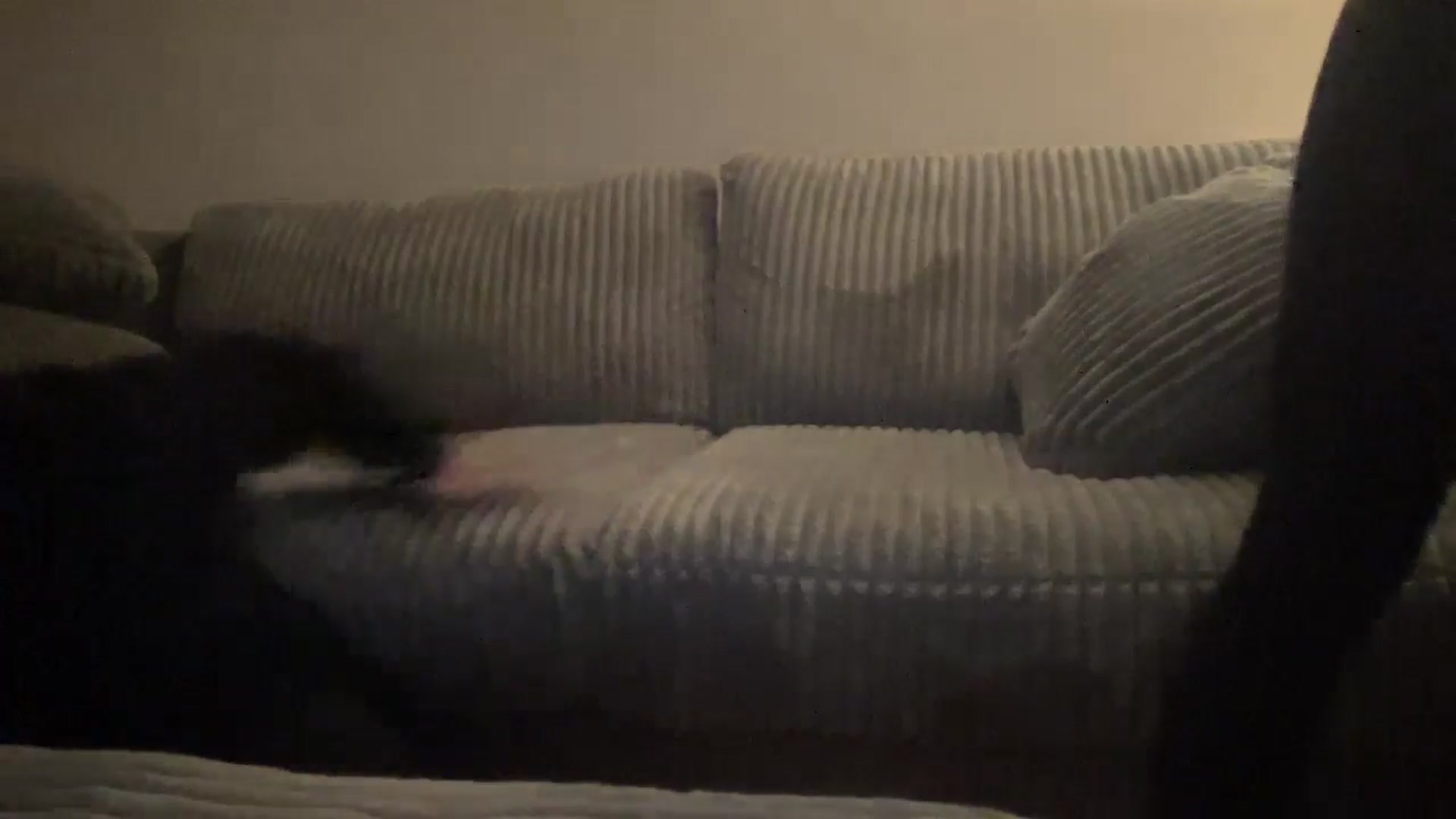 Gallery image thumbnail from Peachesacream's myfreecams stream on, 10/20/2024, 10:44 image 8 of 20