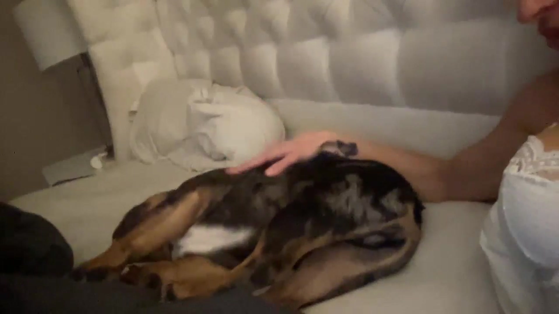Gallery image thumbnail from Peachesacream's myfreecams stream on, 11/11/2024, 07:22 image 10 of 20